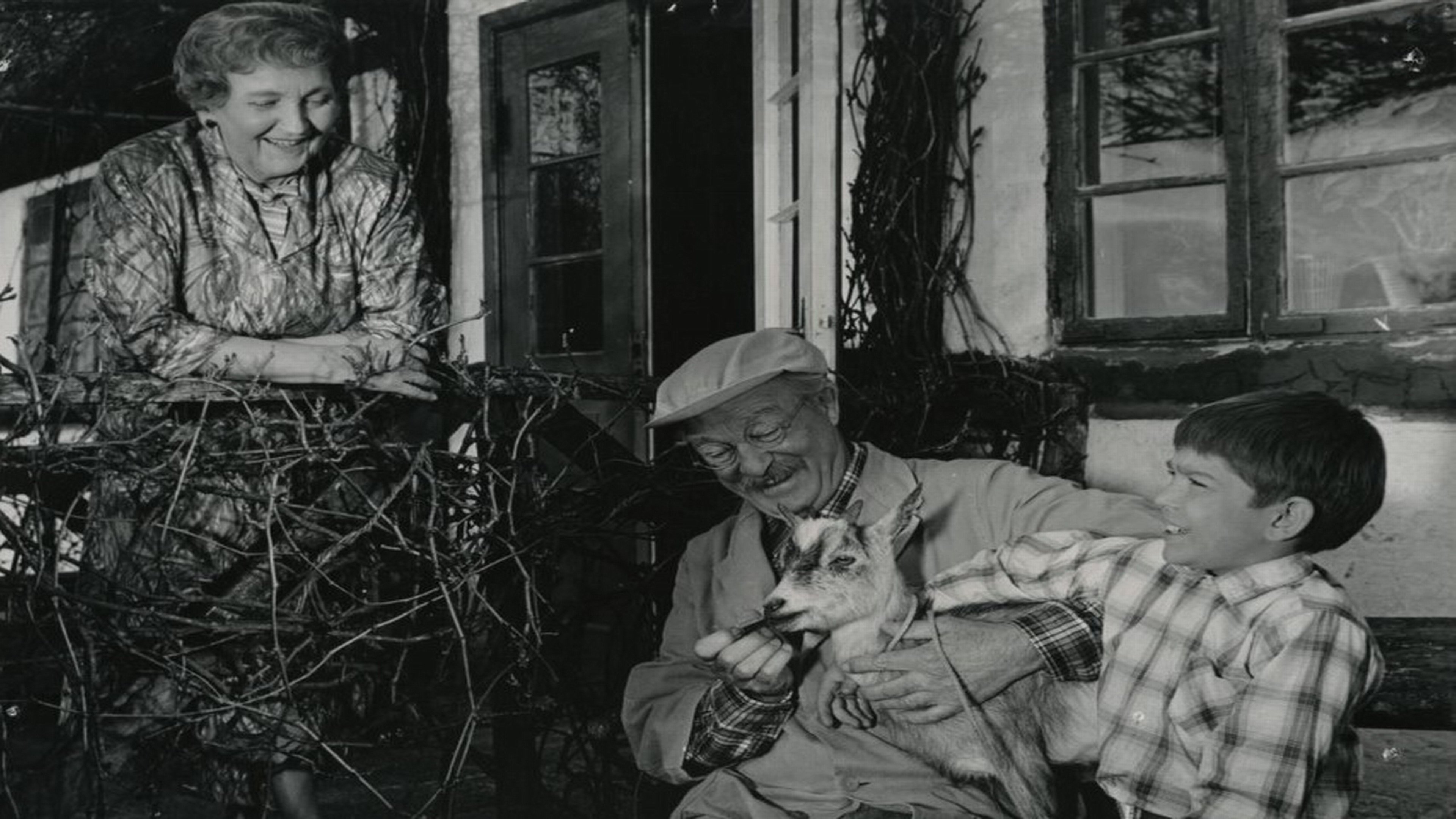 Backdrop for Den rige enke