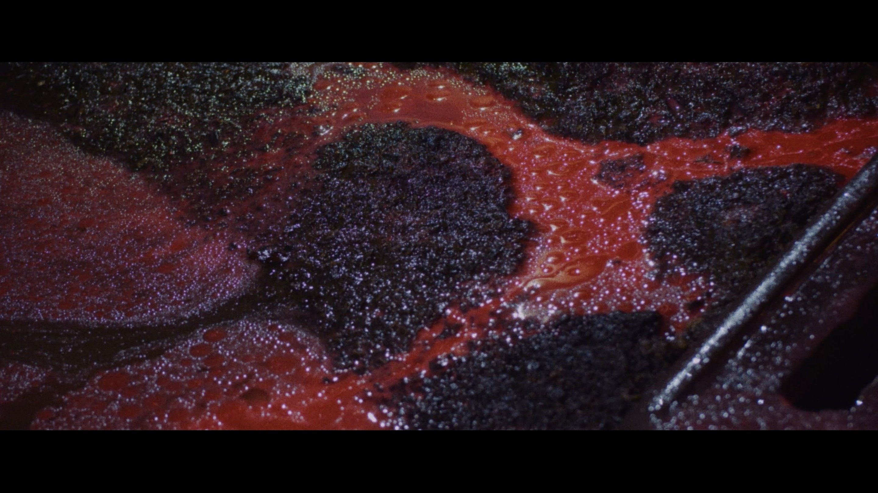 Backdrop for The Five Fingers of a Dog