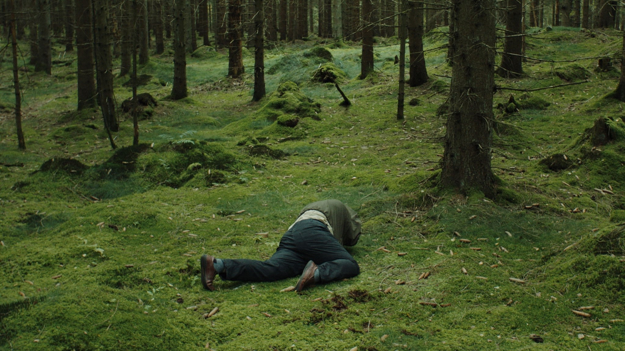 Backdrop for Forest Bathers