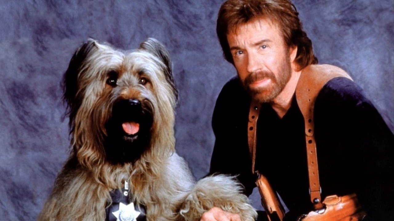 Backdrop for Top Dog