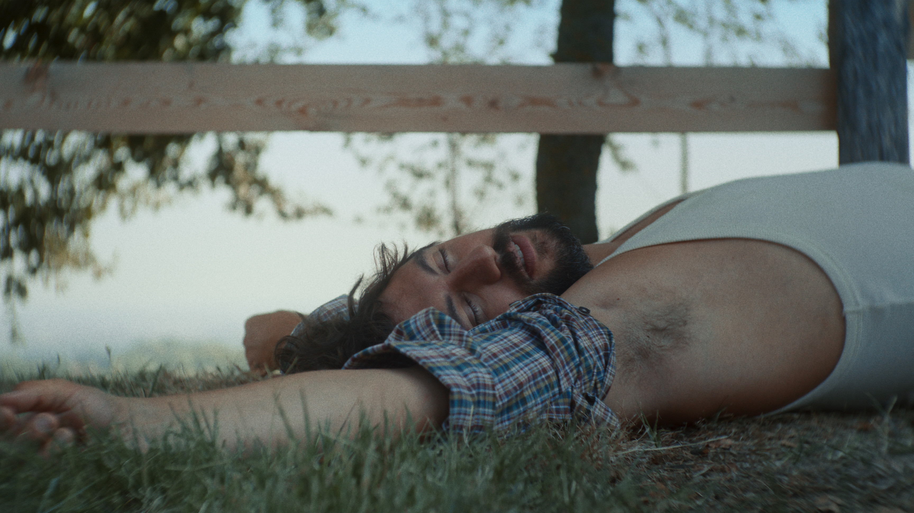 Backdrop for Meteora