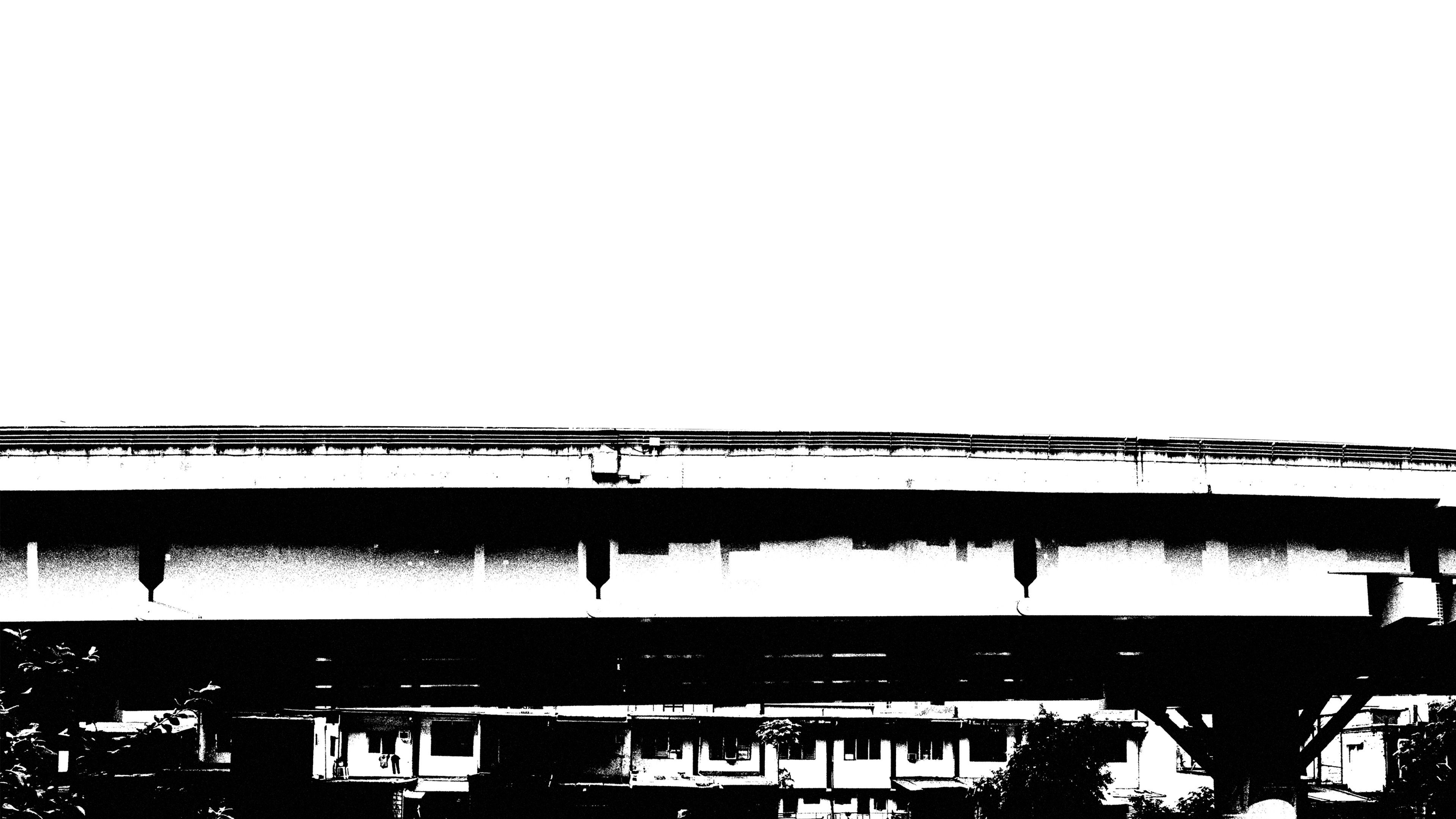 Backdrop for The Killing Structure of Society