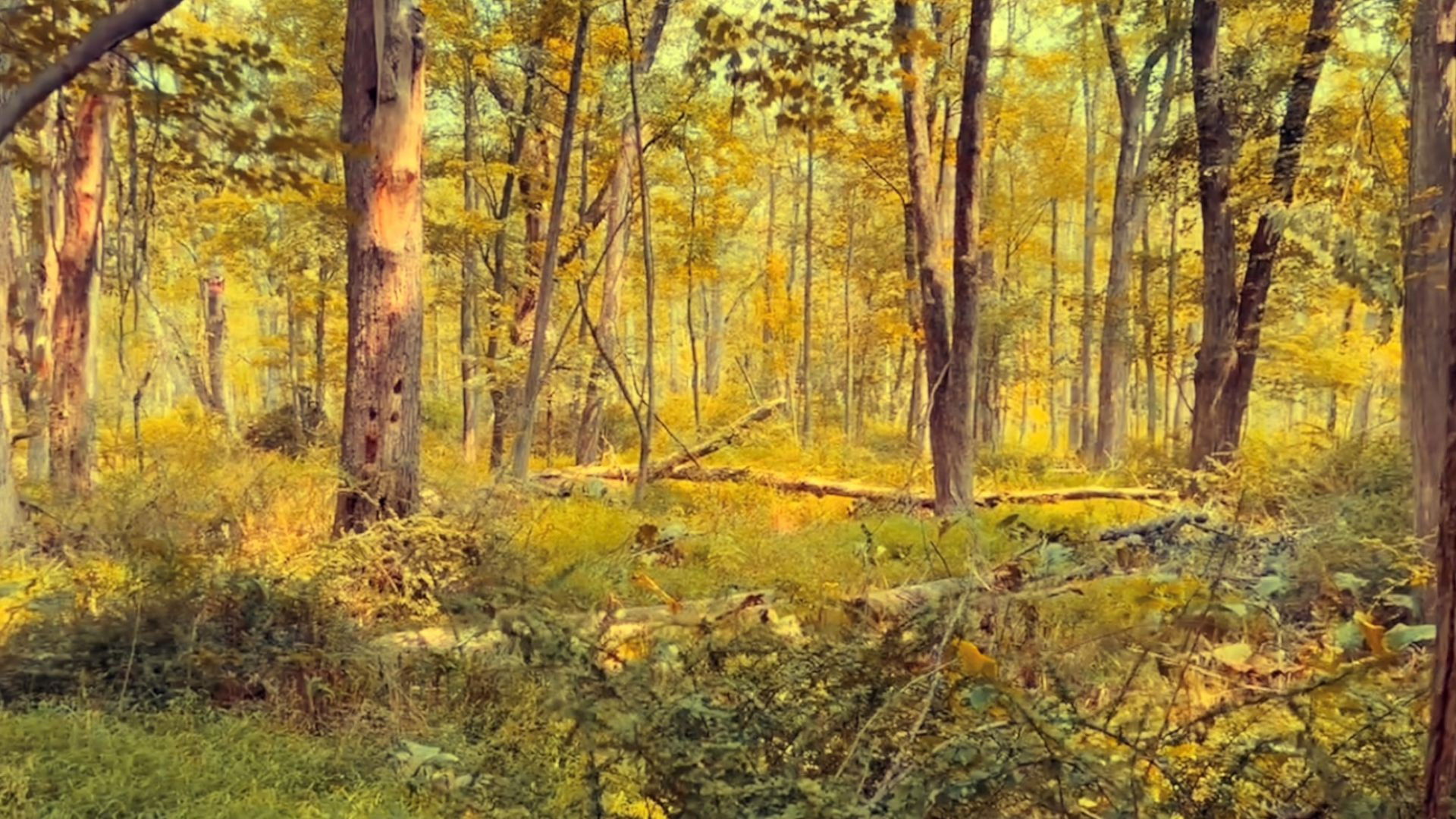 Backdrop for A Late Night Bottle of Water