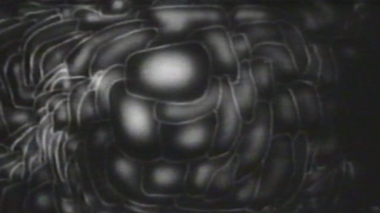 Backdrop for Modern Times: The Way of All Flesh