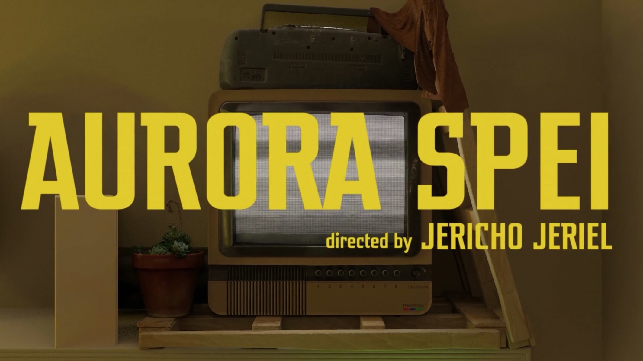 Backdrop for Aurora Spei