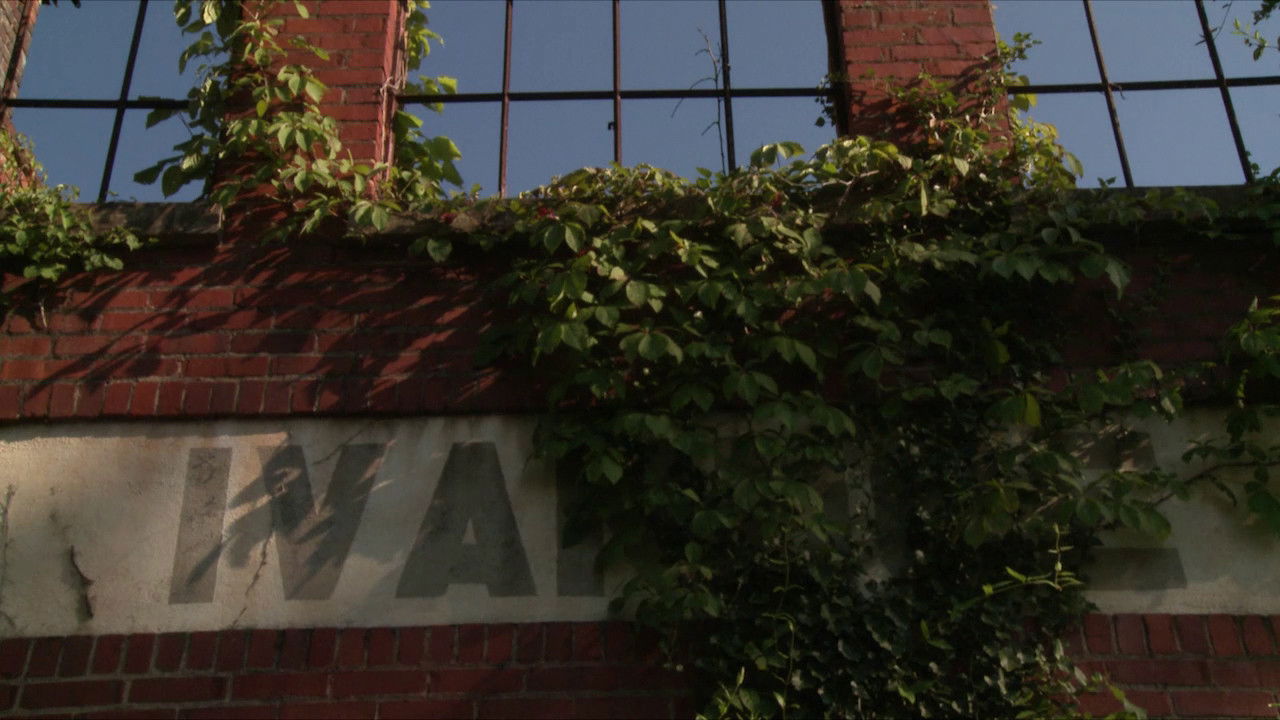 Backdrop for The Curse and the Jubilee