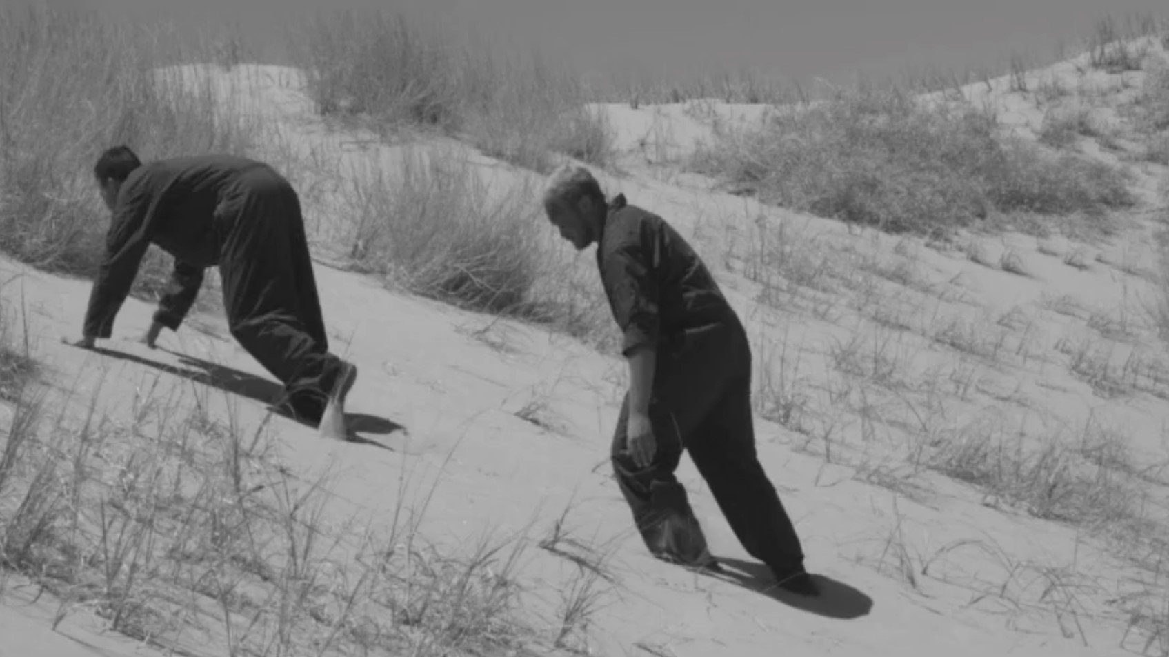 Backdrop for Beachworld