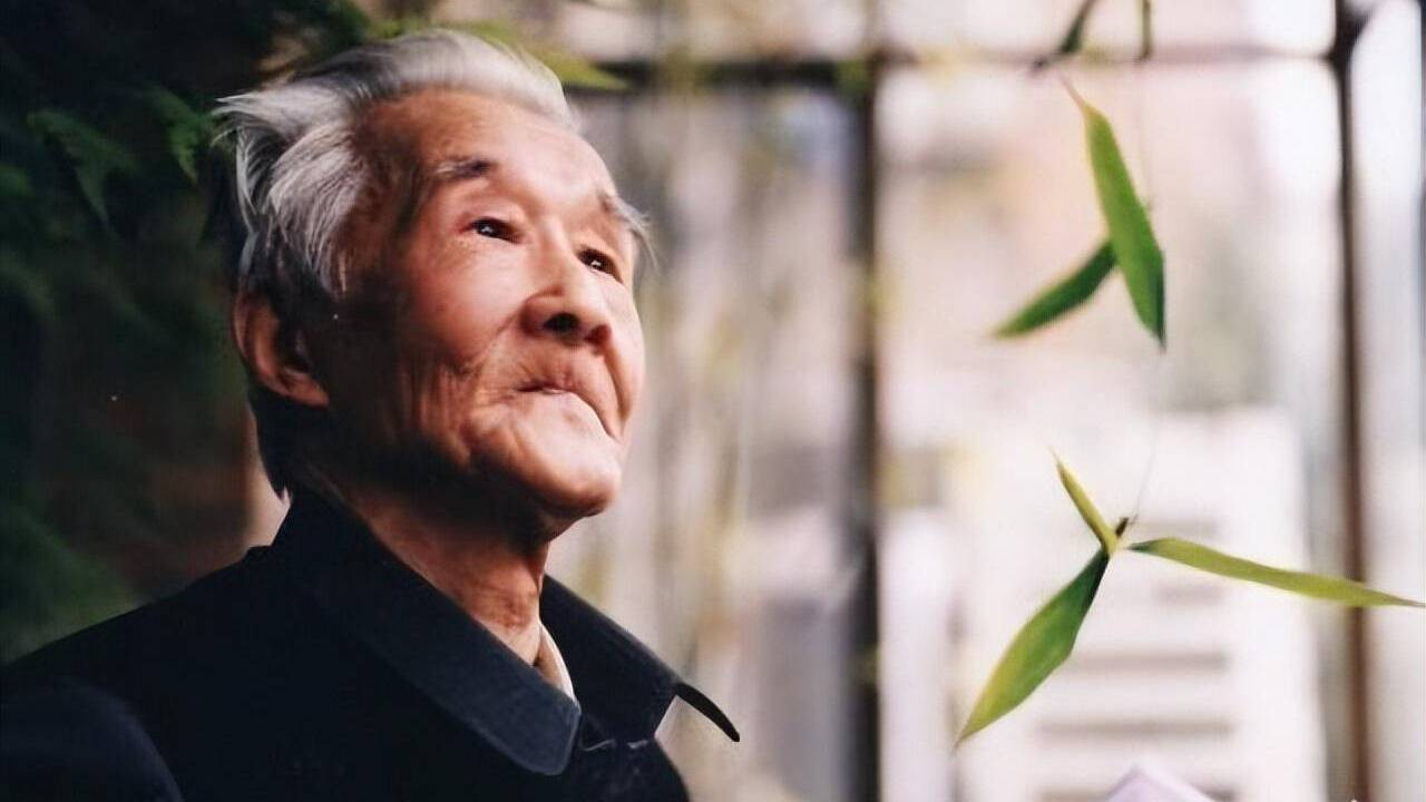 Backdrop for 周汝昌眼中的四大名著