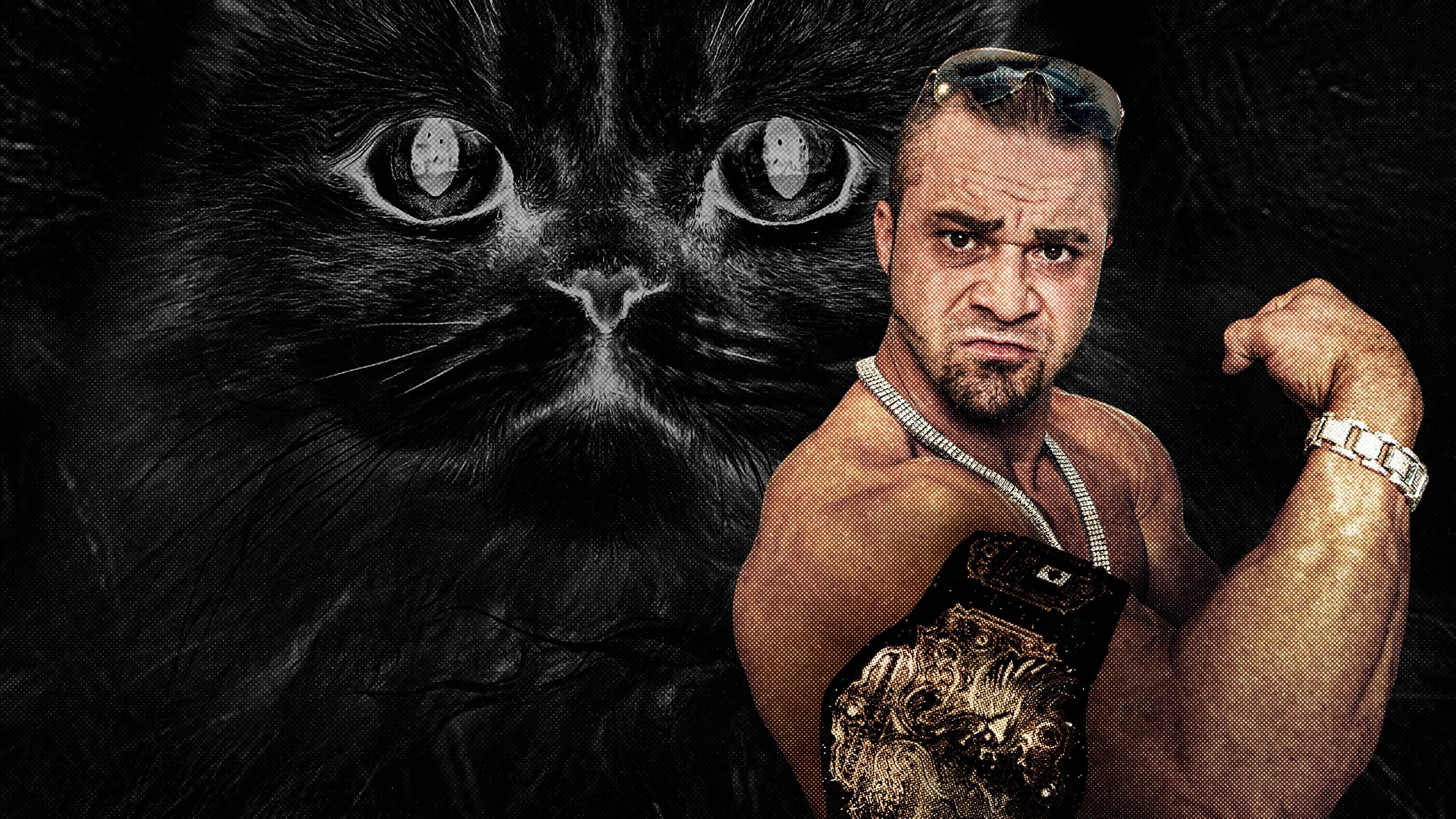 Backdrop for Dangerous Breed: Crime. Cons. Cats.