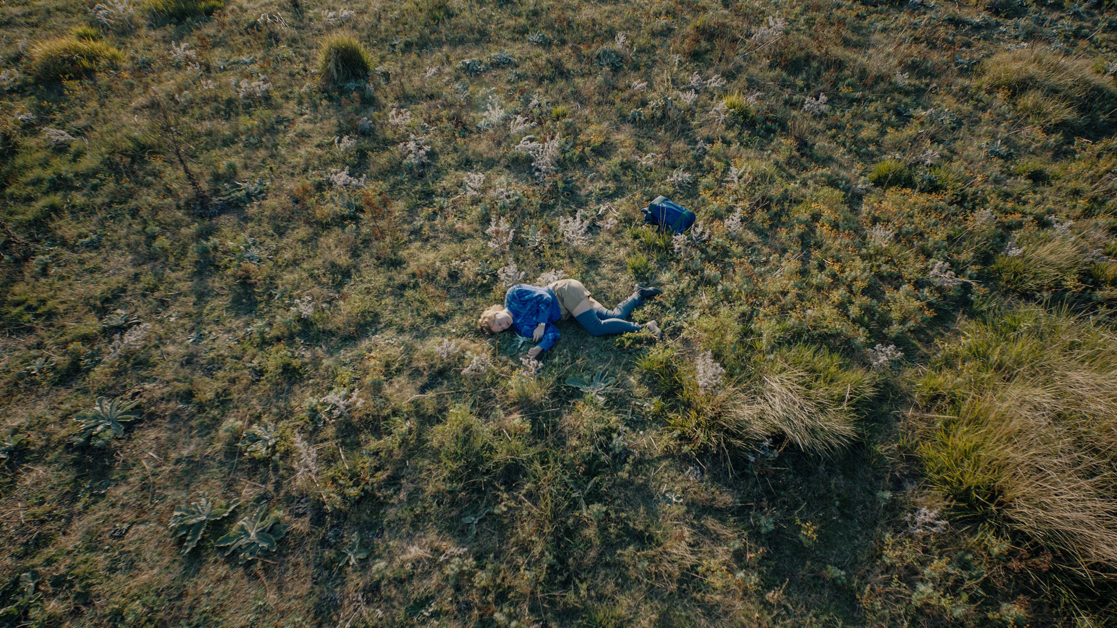 Backdrop for The Islanders