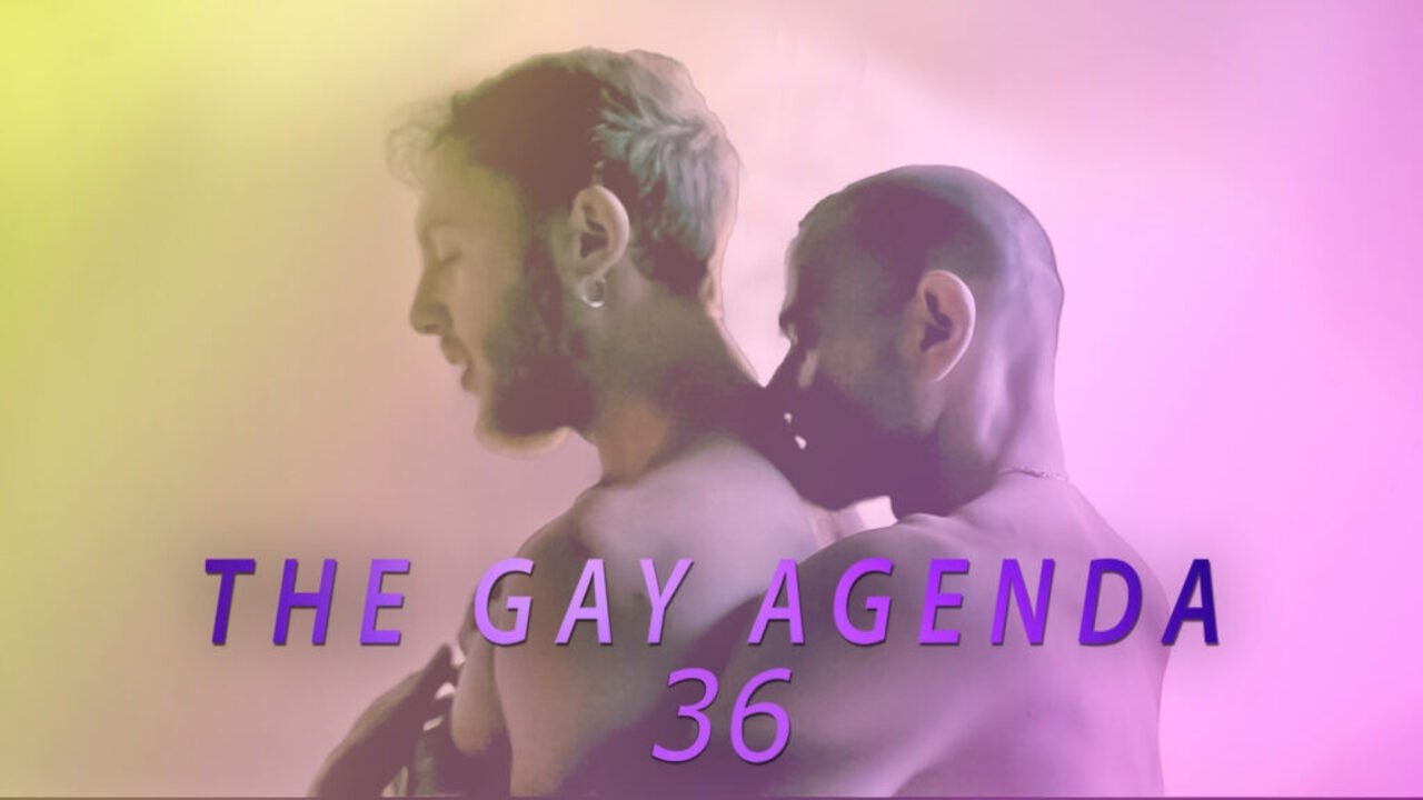 Backdrop for The Gay Agenda 36