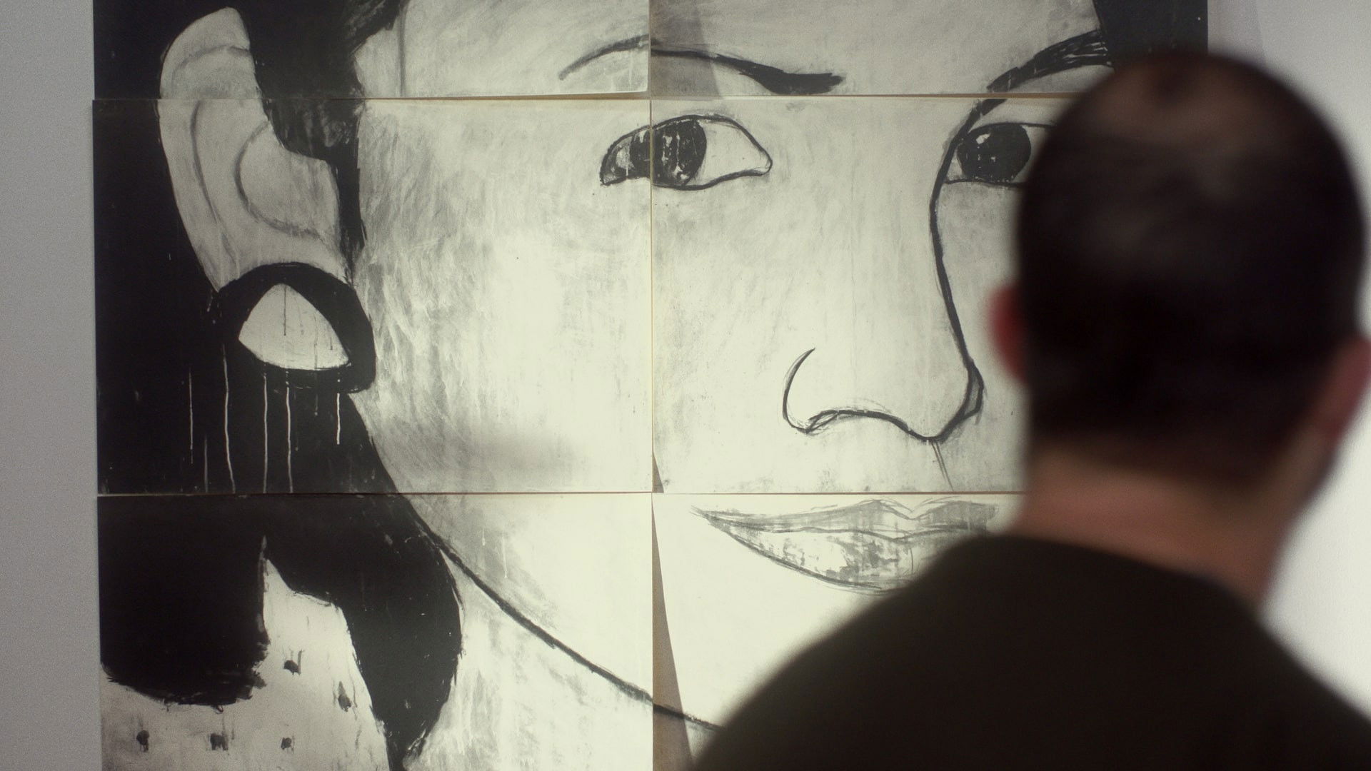 Backdrop for Los Zuluagas