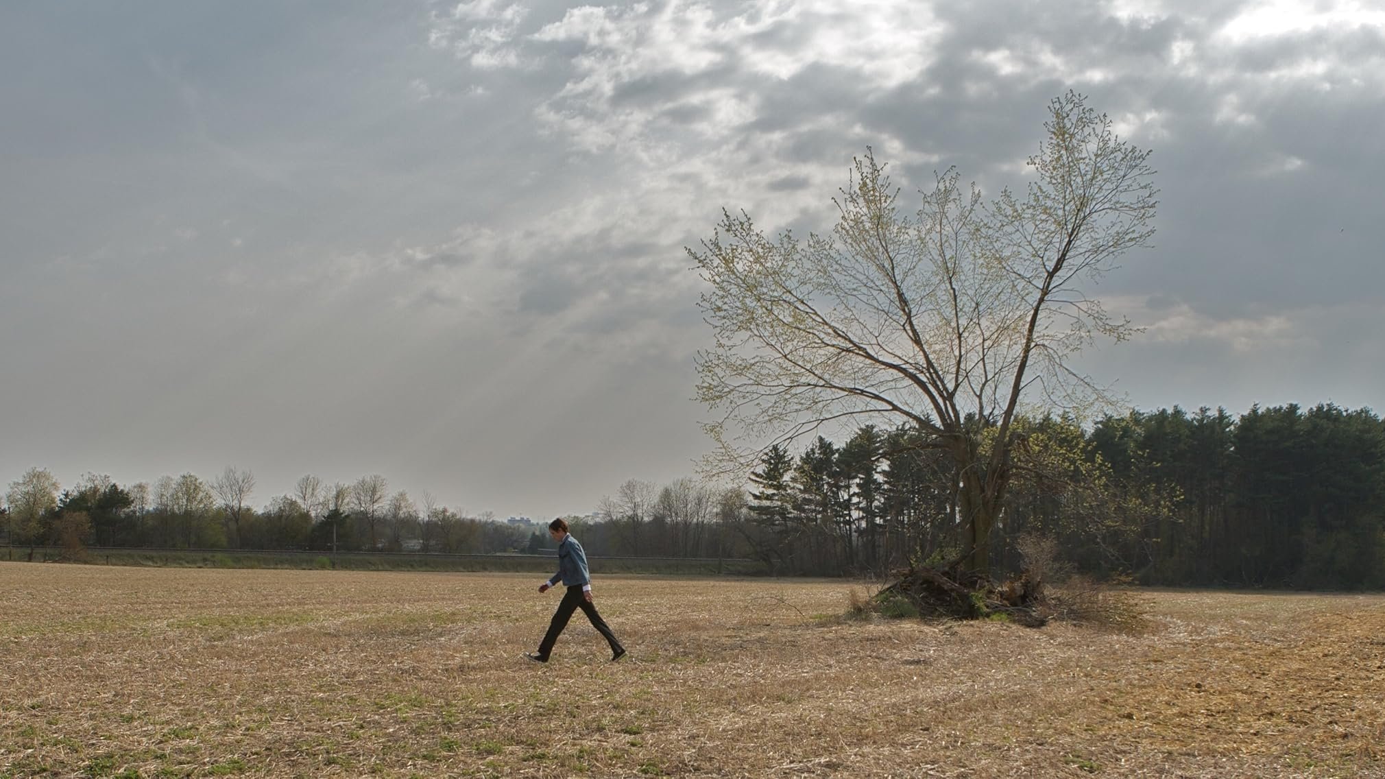 Backdrop for Son of the Sunshine