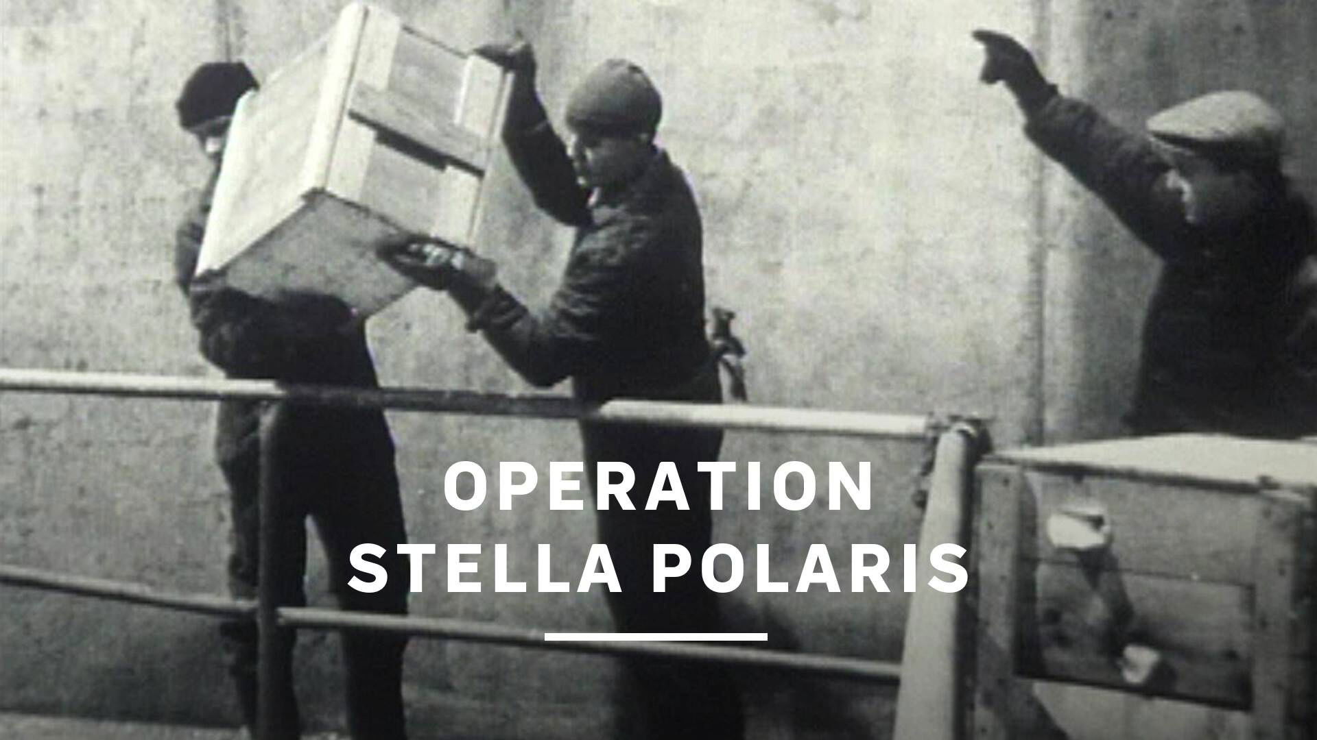 Backdrop for Operation Stella Polaris