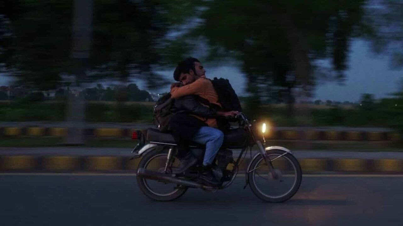 Backdrop for Cats Can Teach You To Die Alone