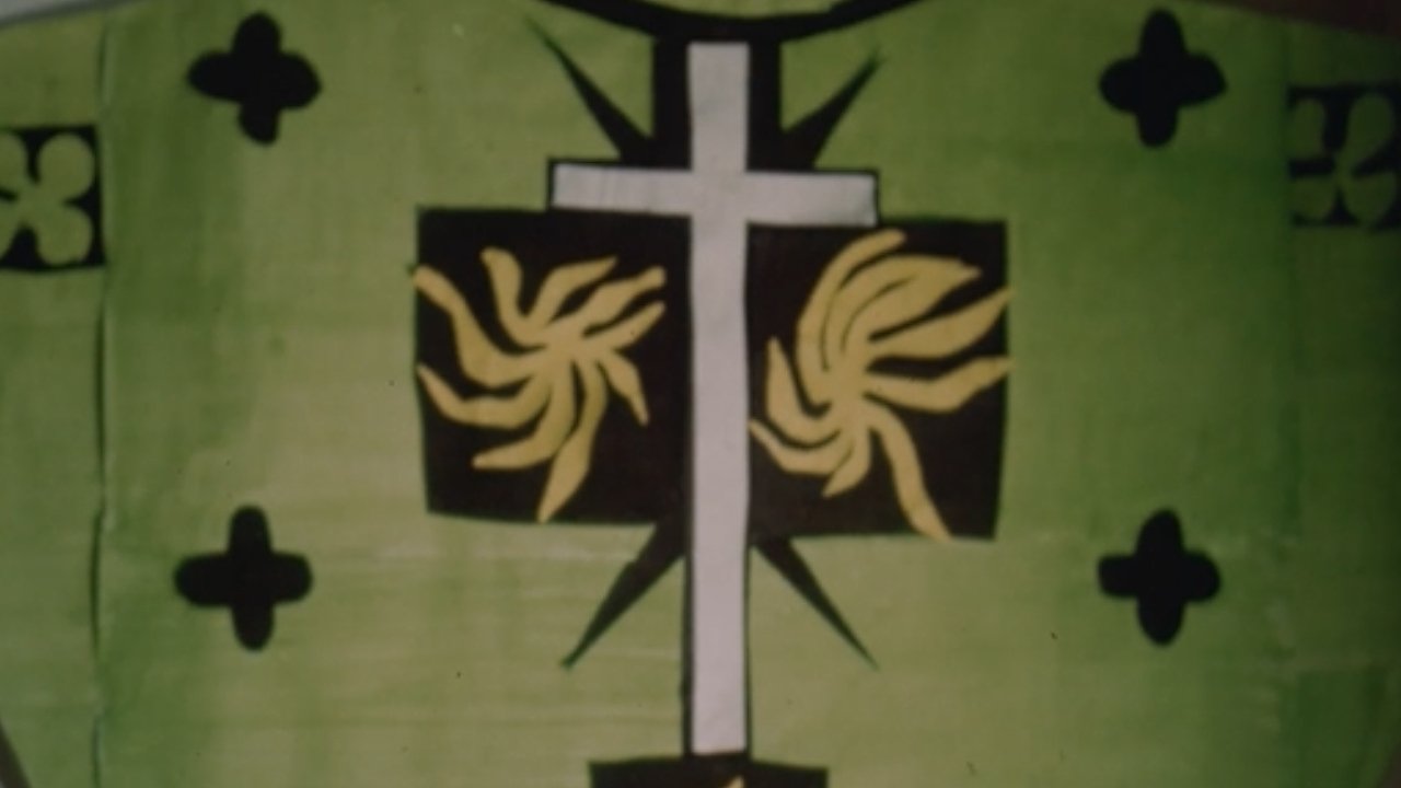 Backdrop for Matisse