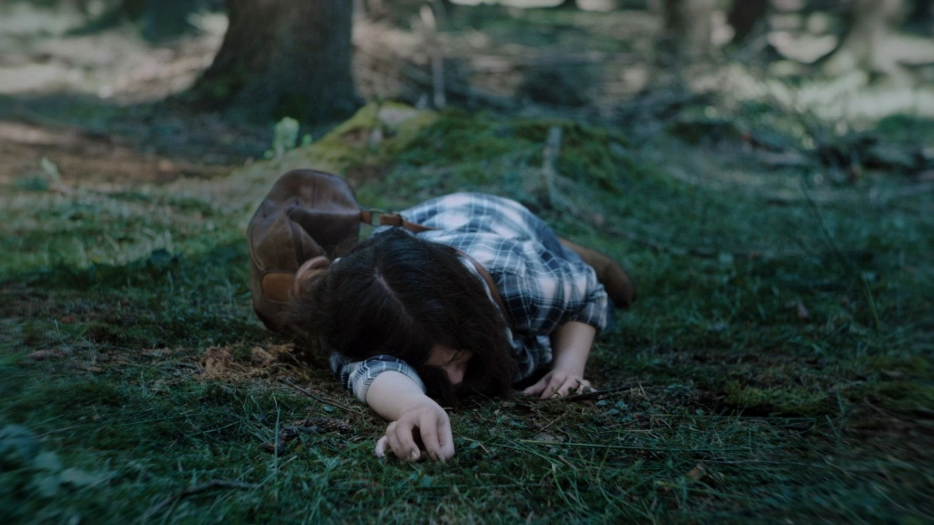 Backdrop for Neither Sun Nor Shade