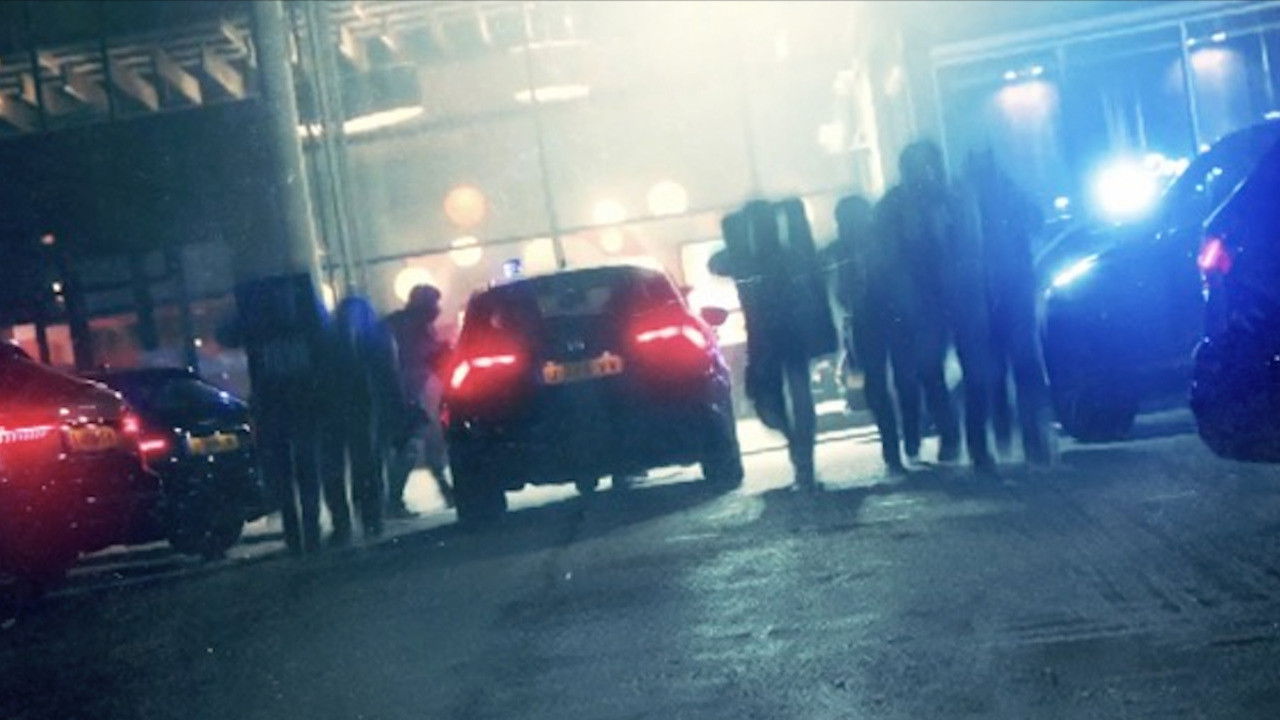 Backdrop for Alpha 00