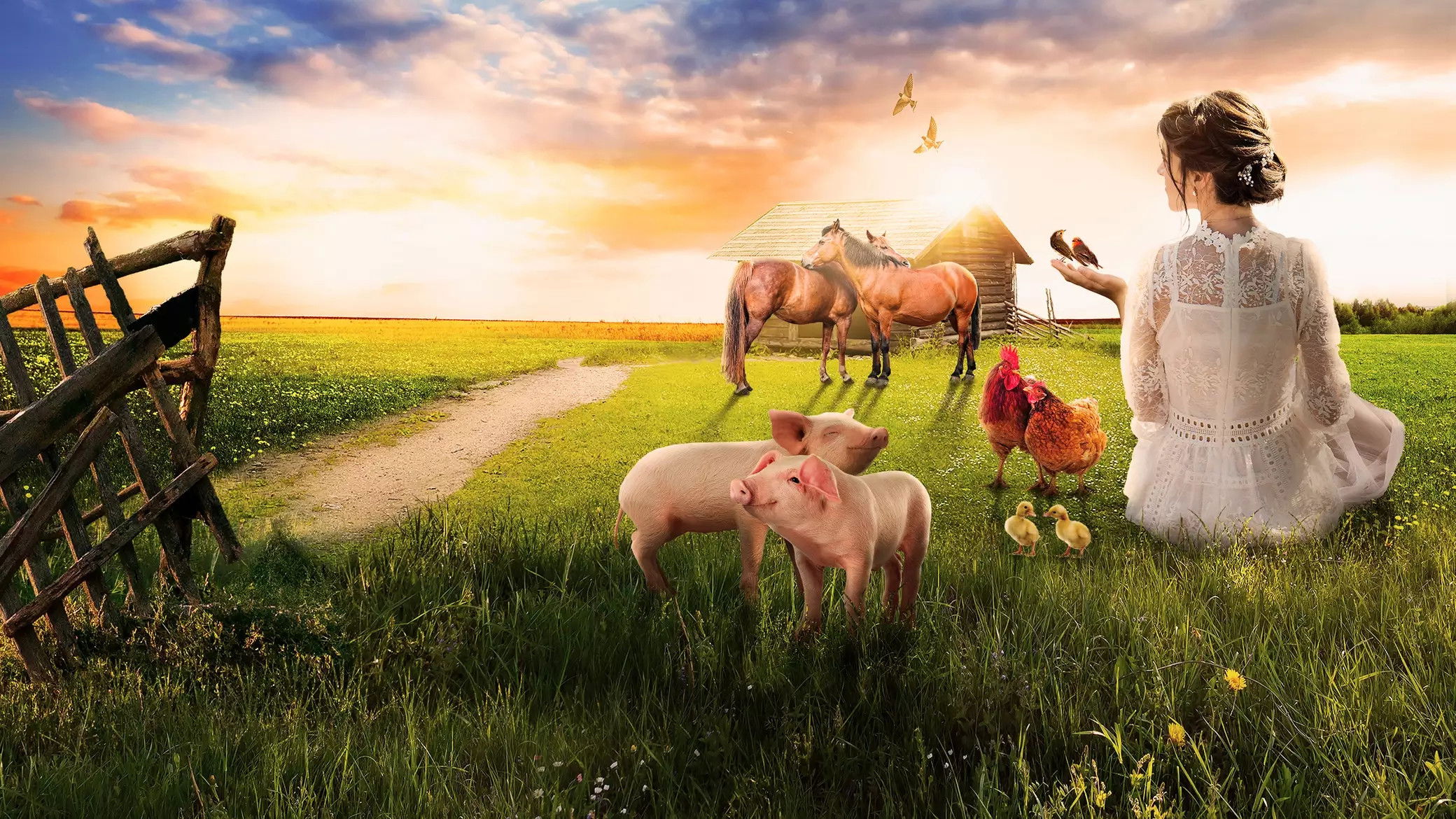 Backdrop for The Farmer Wants a Wife