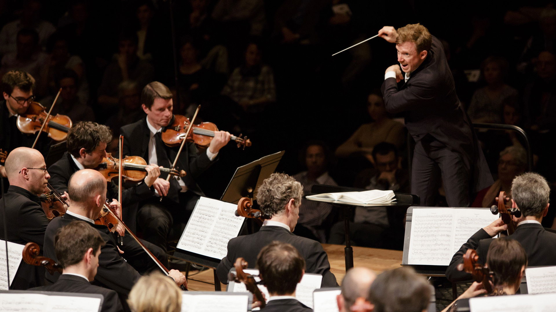 Backdrop for Schumann - Das Paradies und die Peri