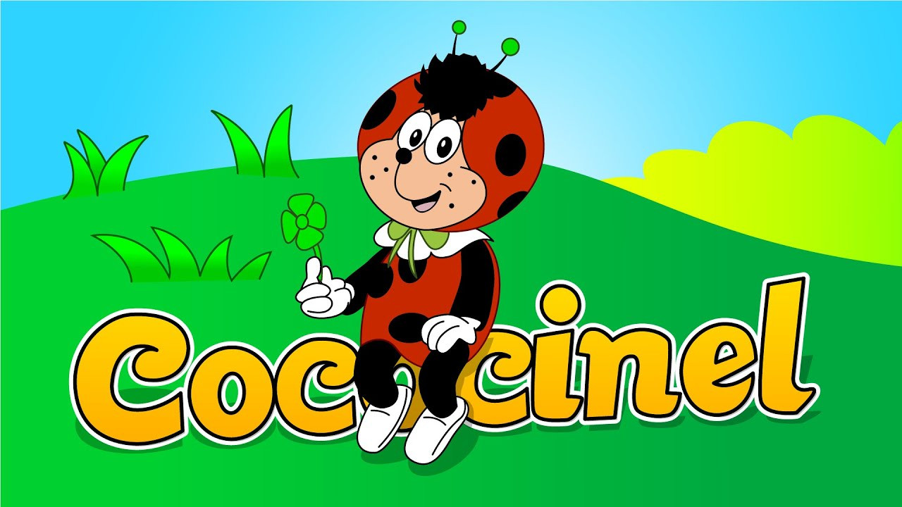 Backdrop for Cococinel