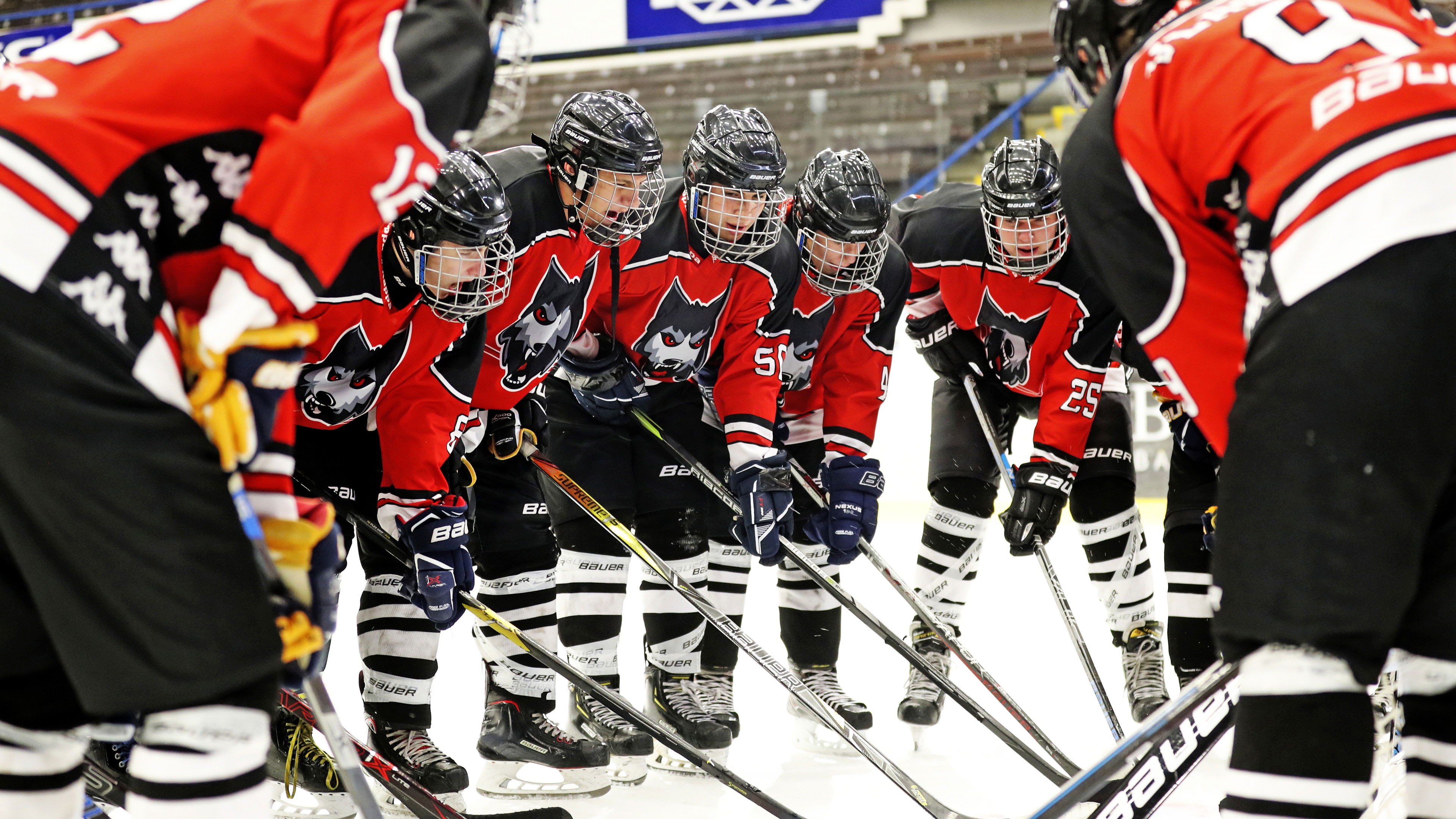 Backdrop for The Pack