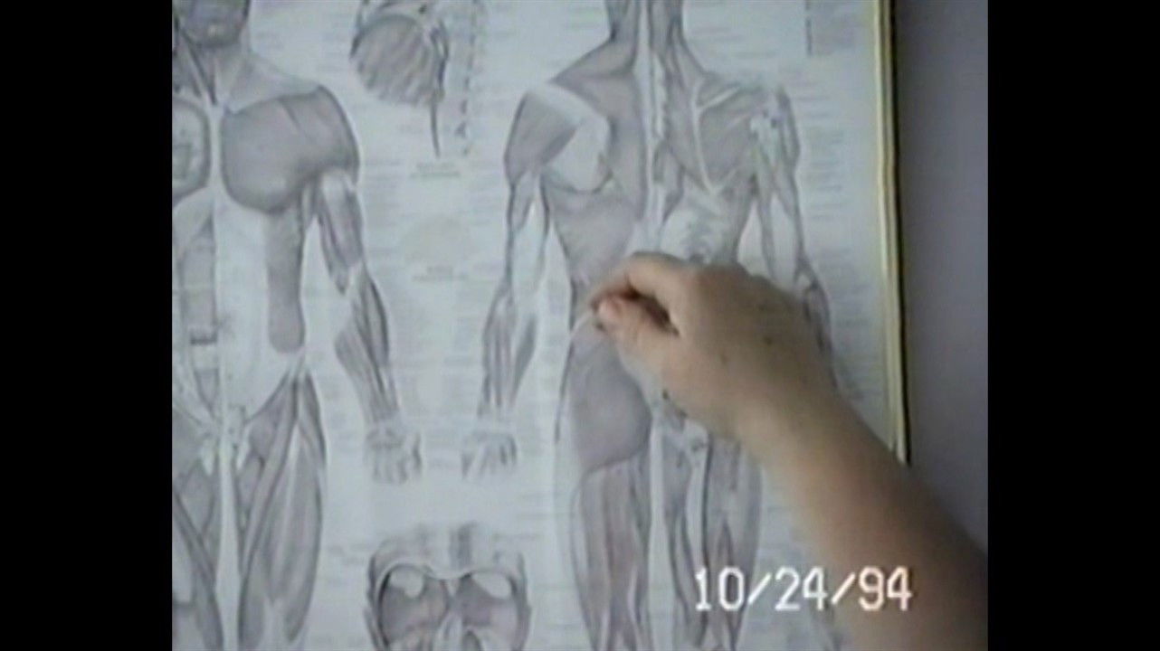 Backdrop for Cabbage