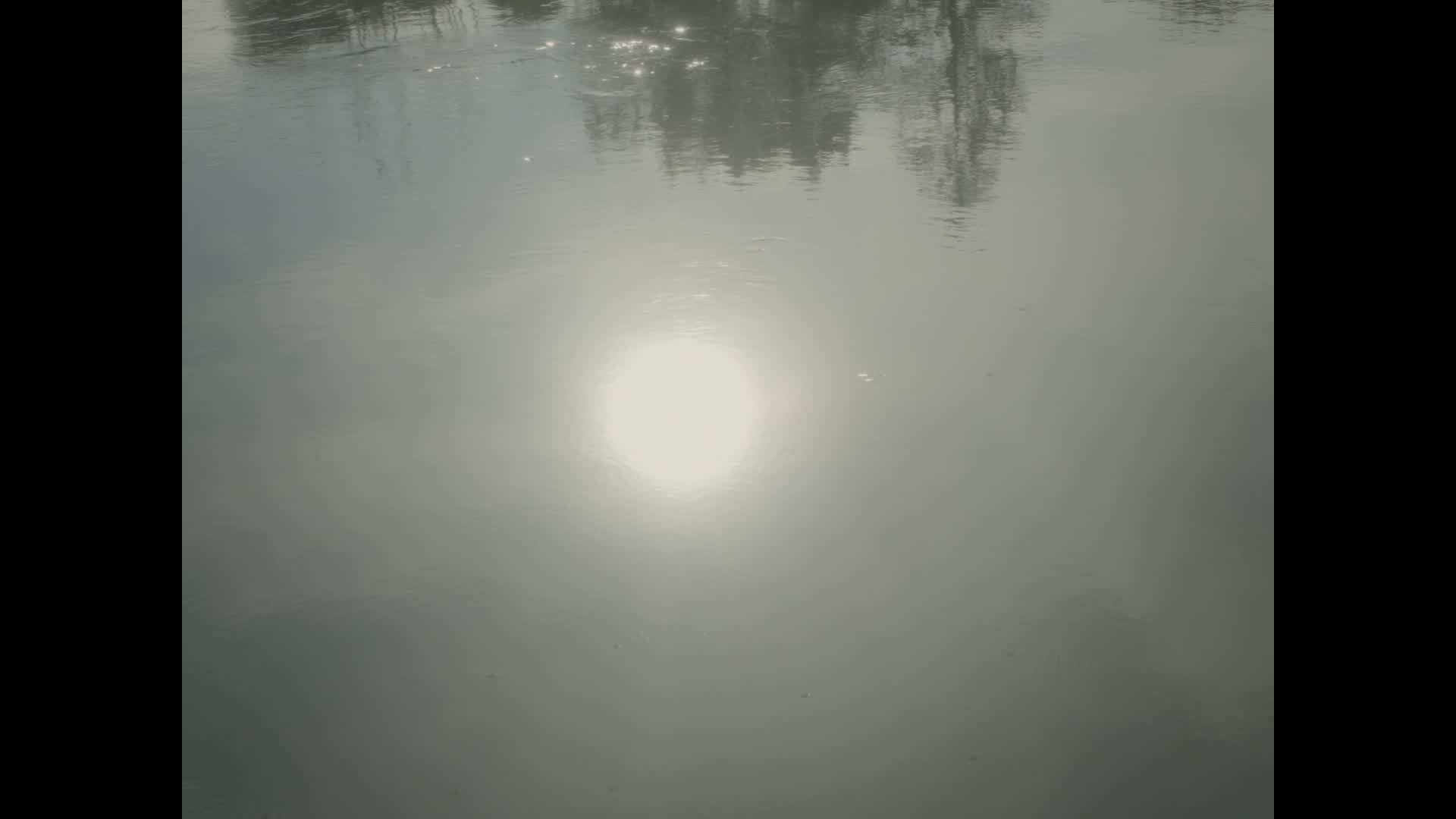 Backdrop for Les fées sont-elles réelles ?