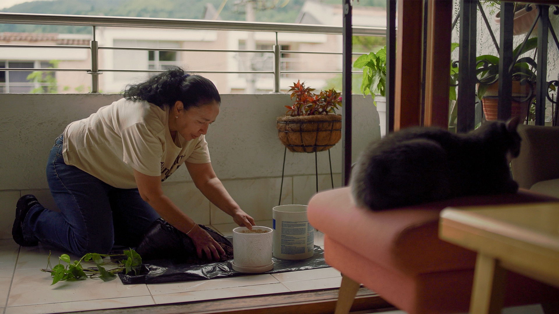 Backdrop for Cuidado de una Orquidea