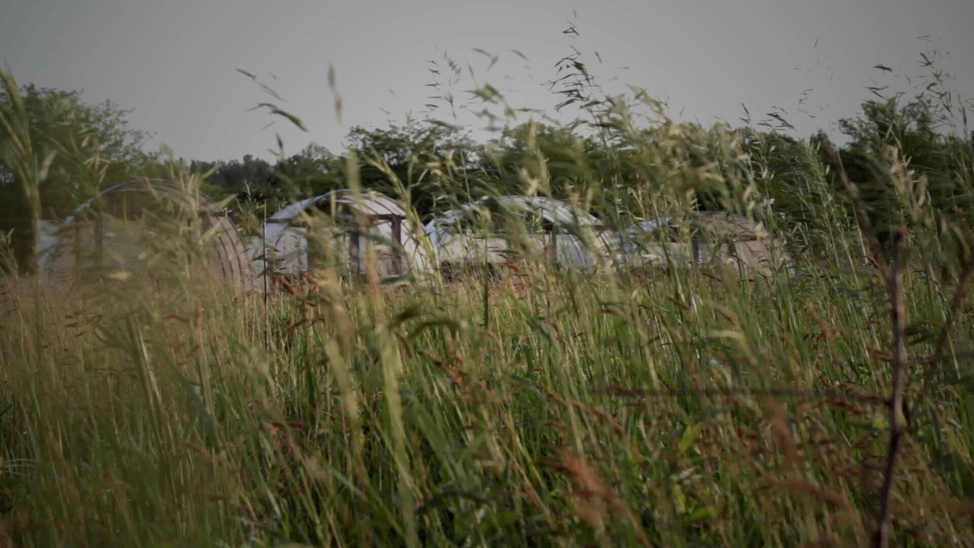 Backdrop for Heartland Local Food