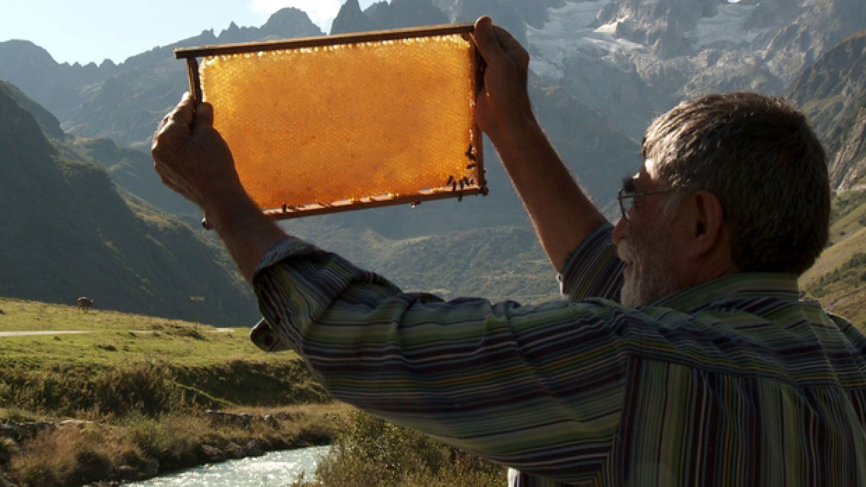 Backdrop for Der Imker