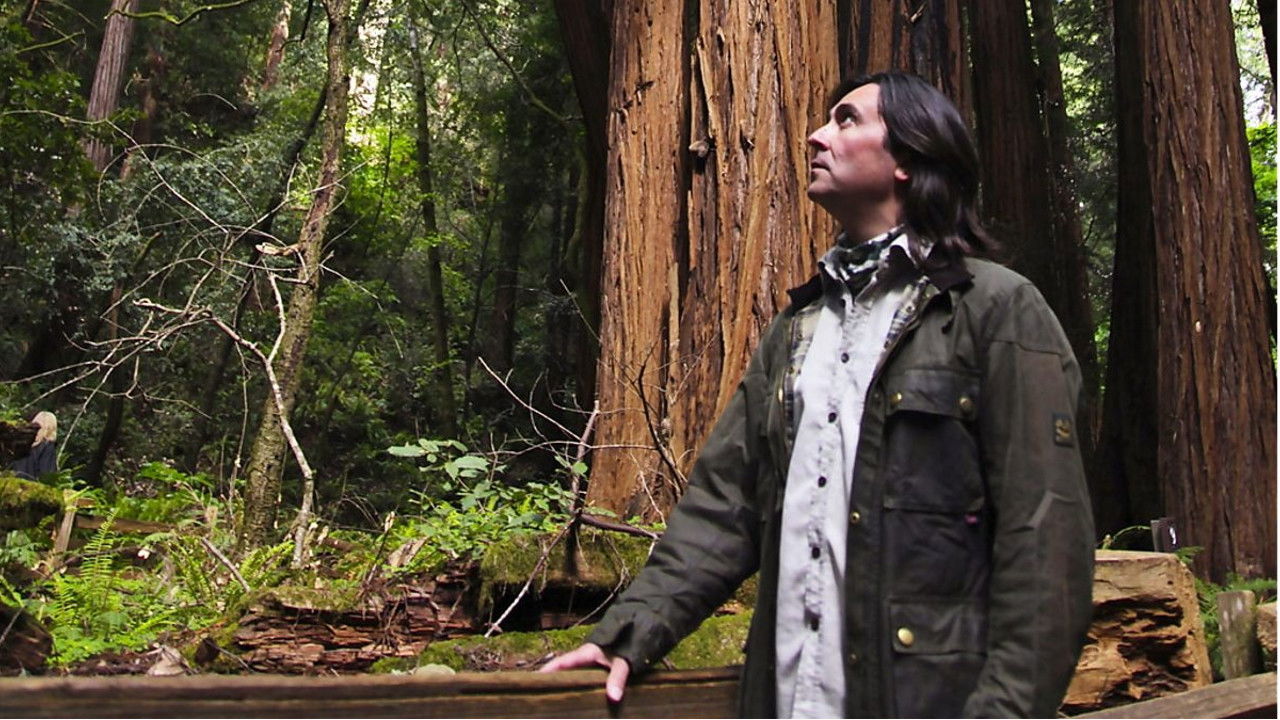 Backdrop for The Last Explorers