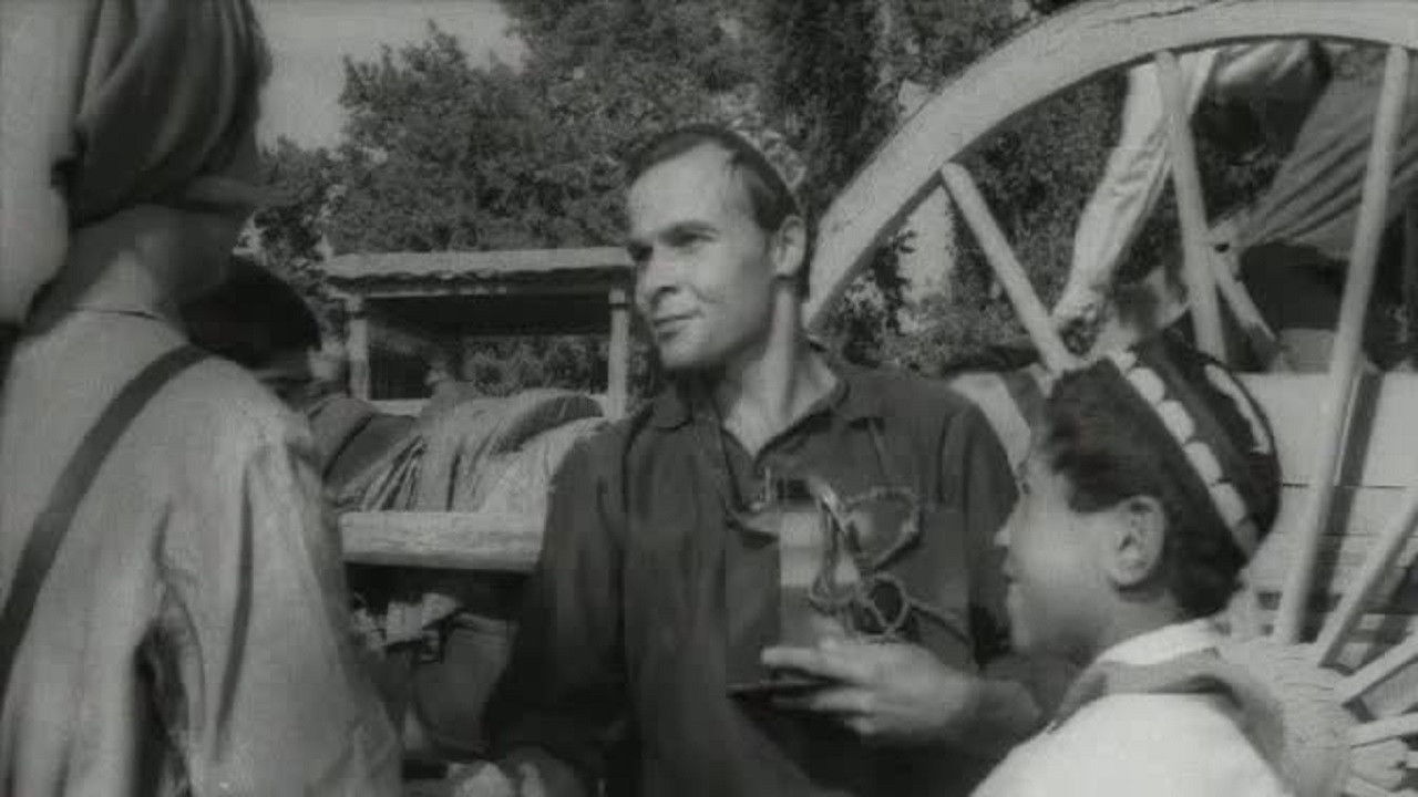 Backdrop for Hasan Arbakesh