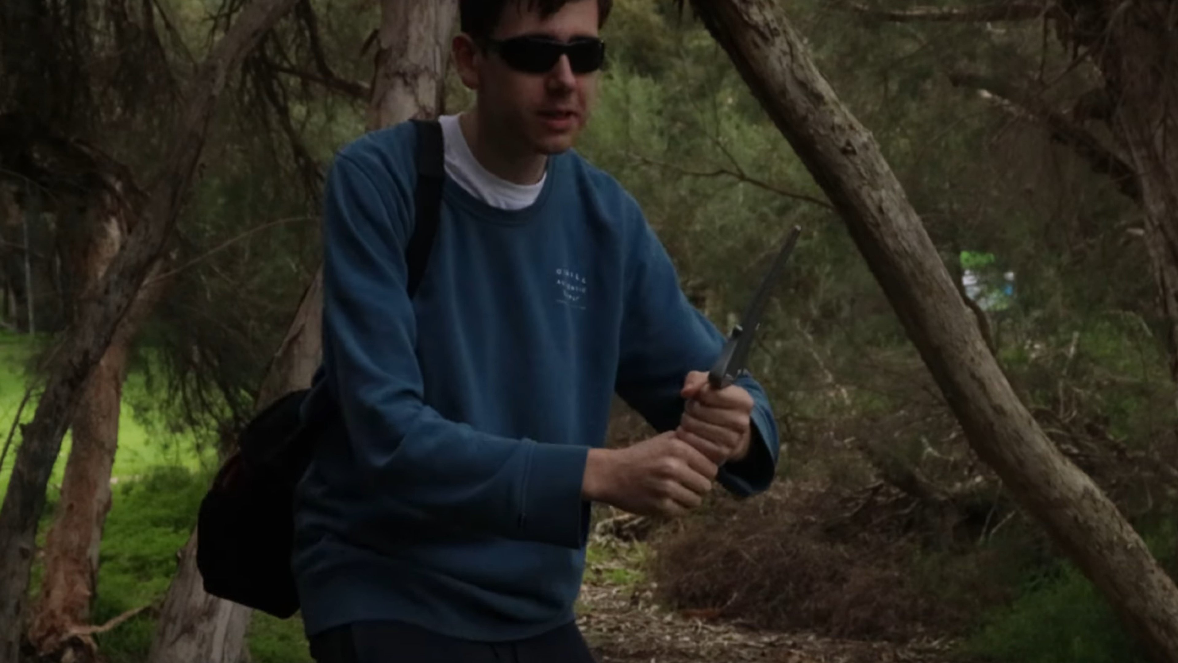 Backdrop for The Monster in the Lake that Nobody is doing Anything About