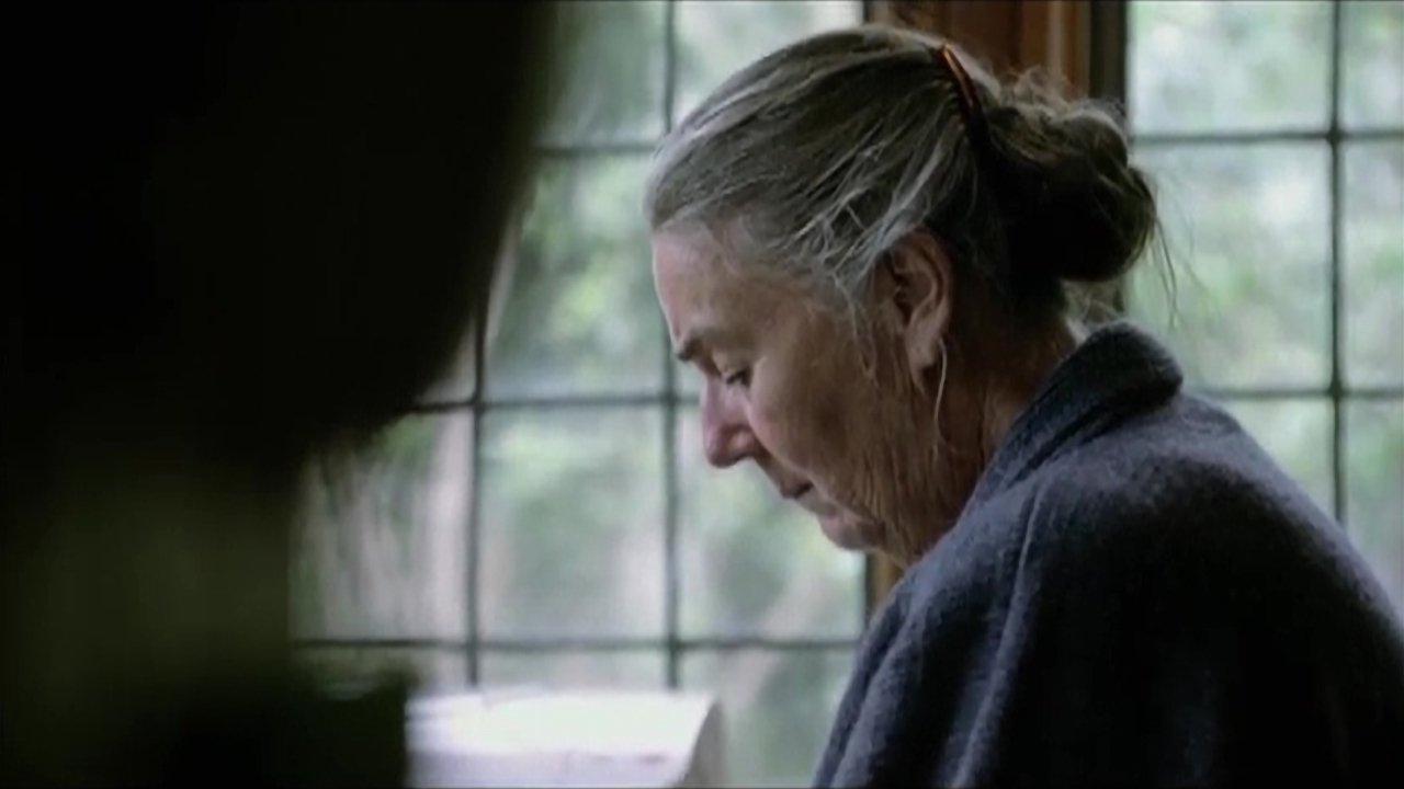 Backdrop for Paul's Dream