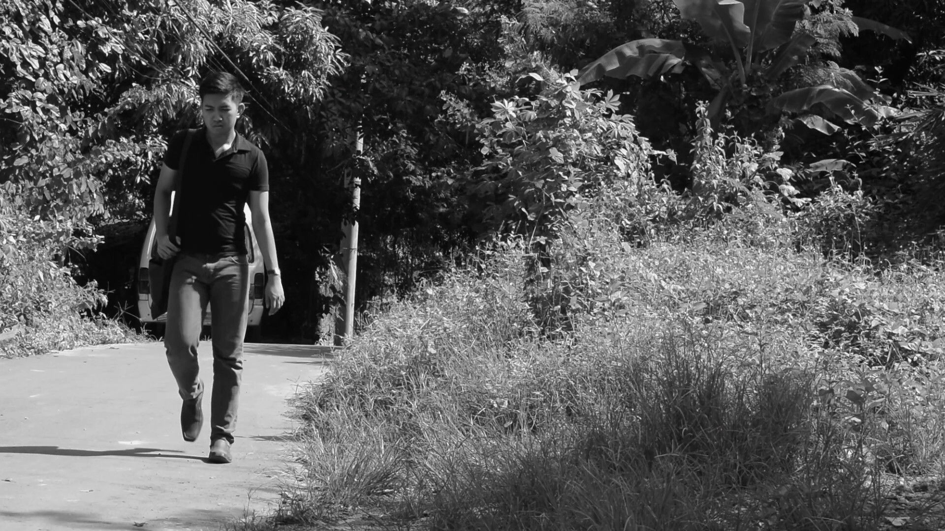 Backdrop for After Hours