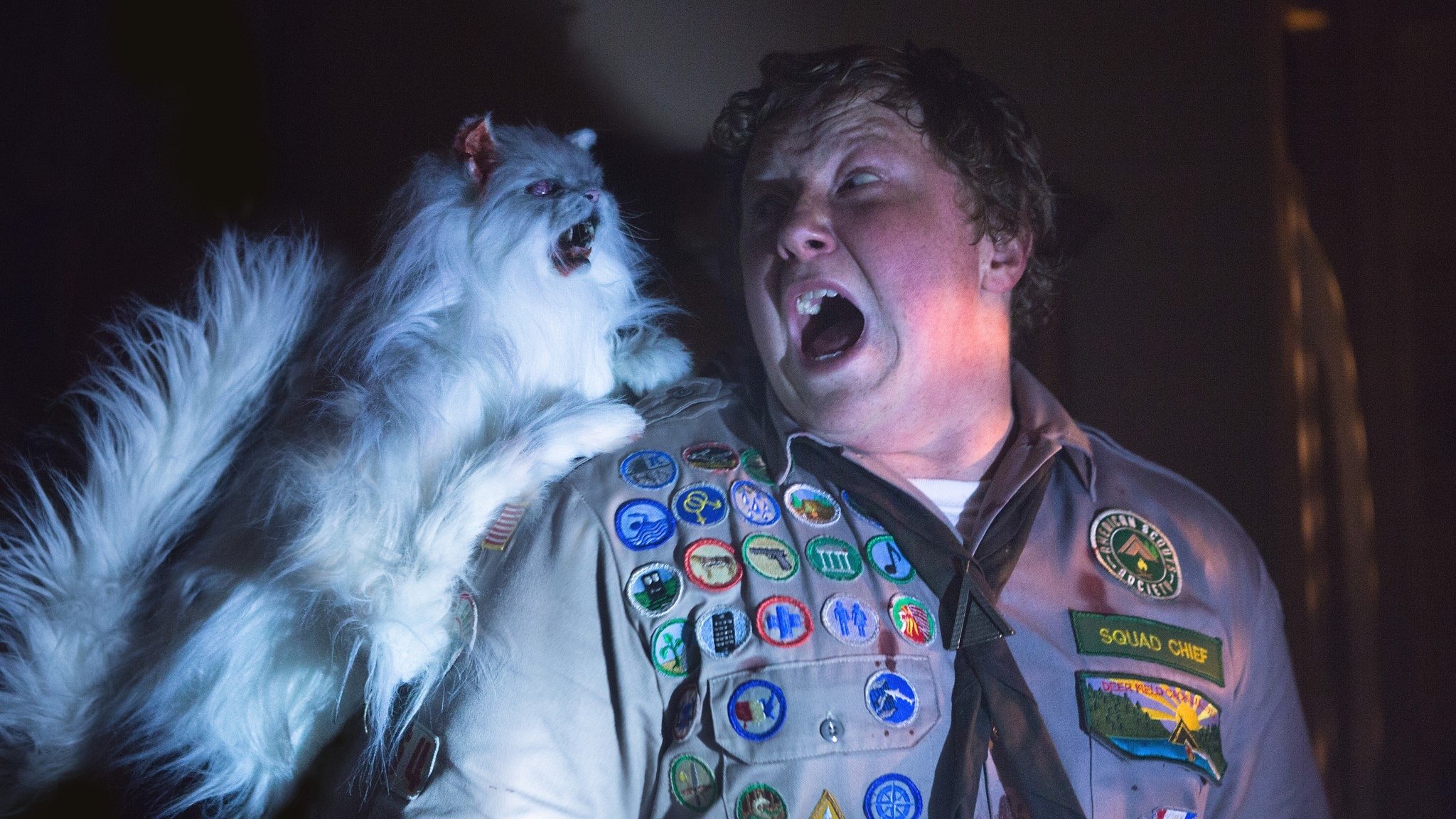 Backdrop for Scouts Guide to the Zombie Apocalypse