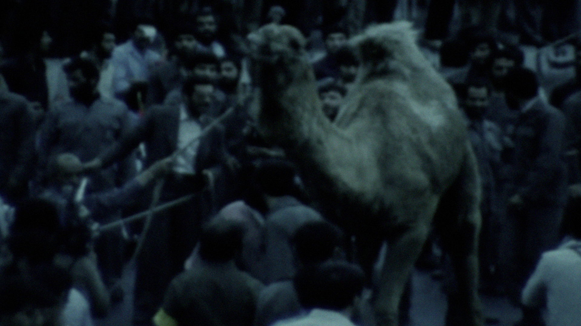 Backdrop for Slaughter (Besmel)