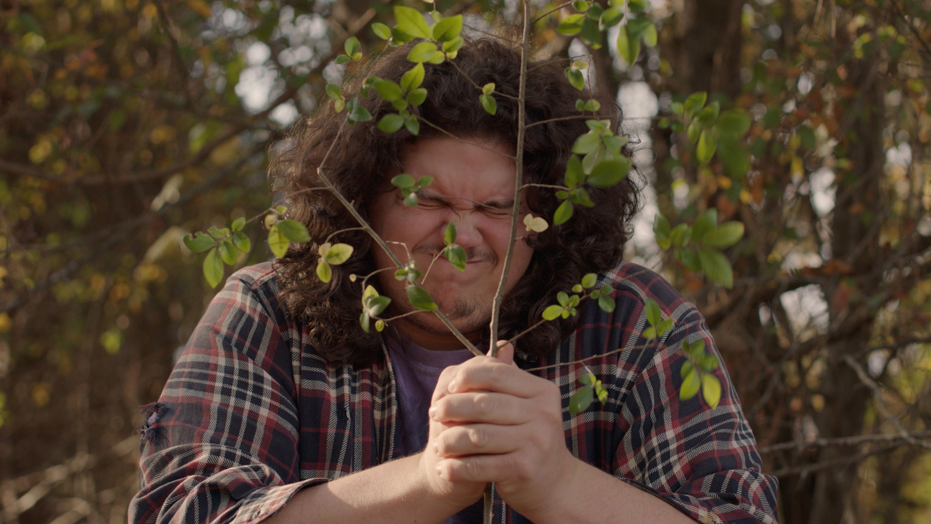 Backdrop for The Money Tree