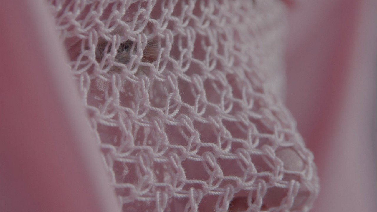 Backdrop for Intervene