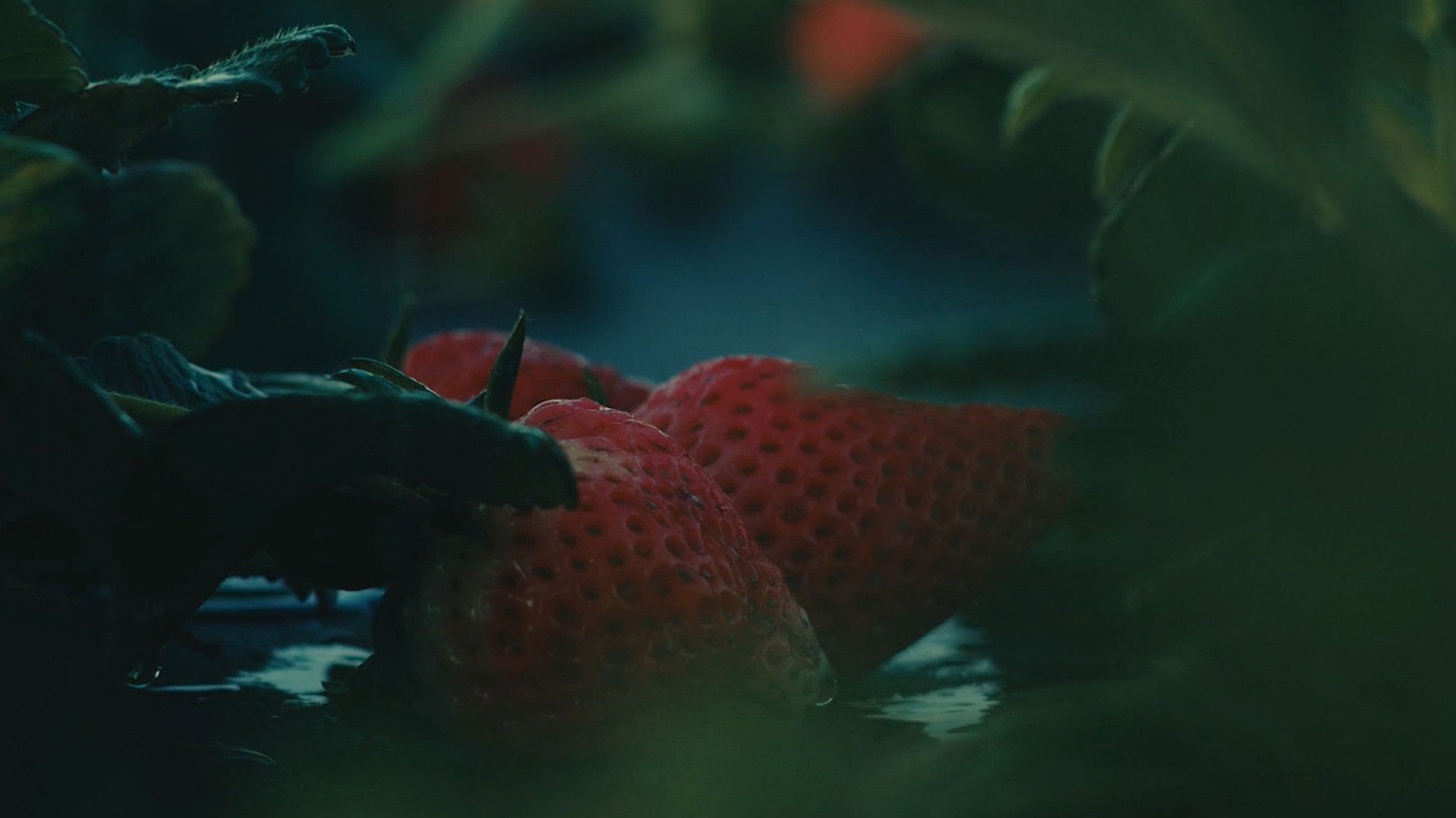 Backdrop for The Ballad of Tita and the Machines