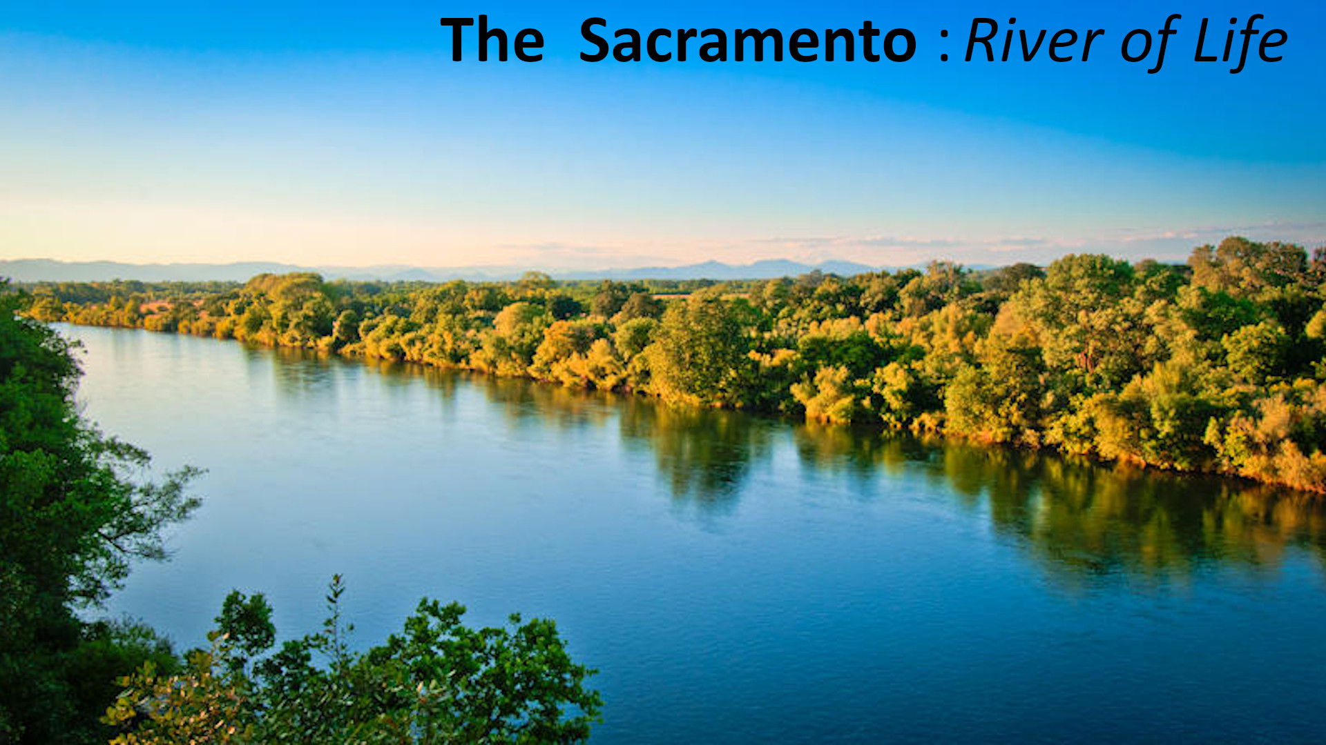 Backdrop for The Sacramento River of Life