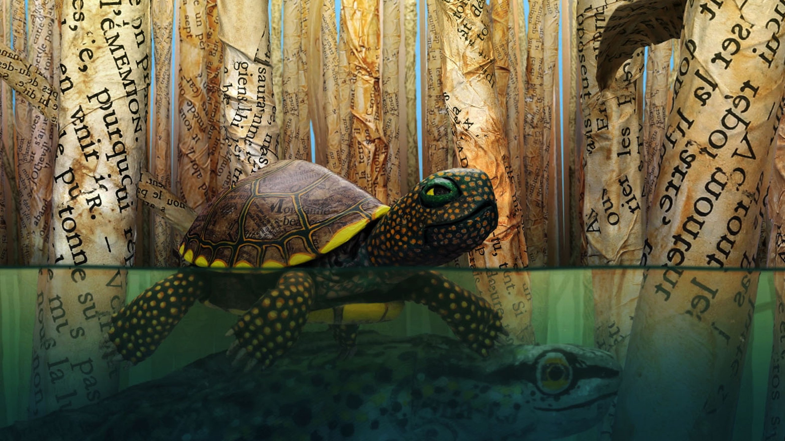 Backdrop for Hello World!