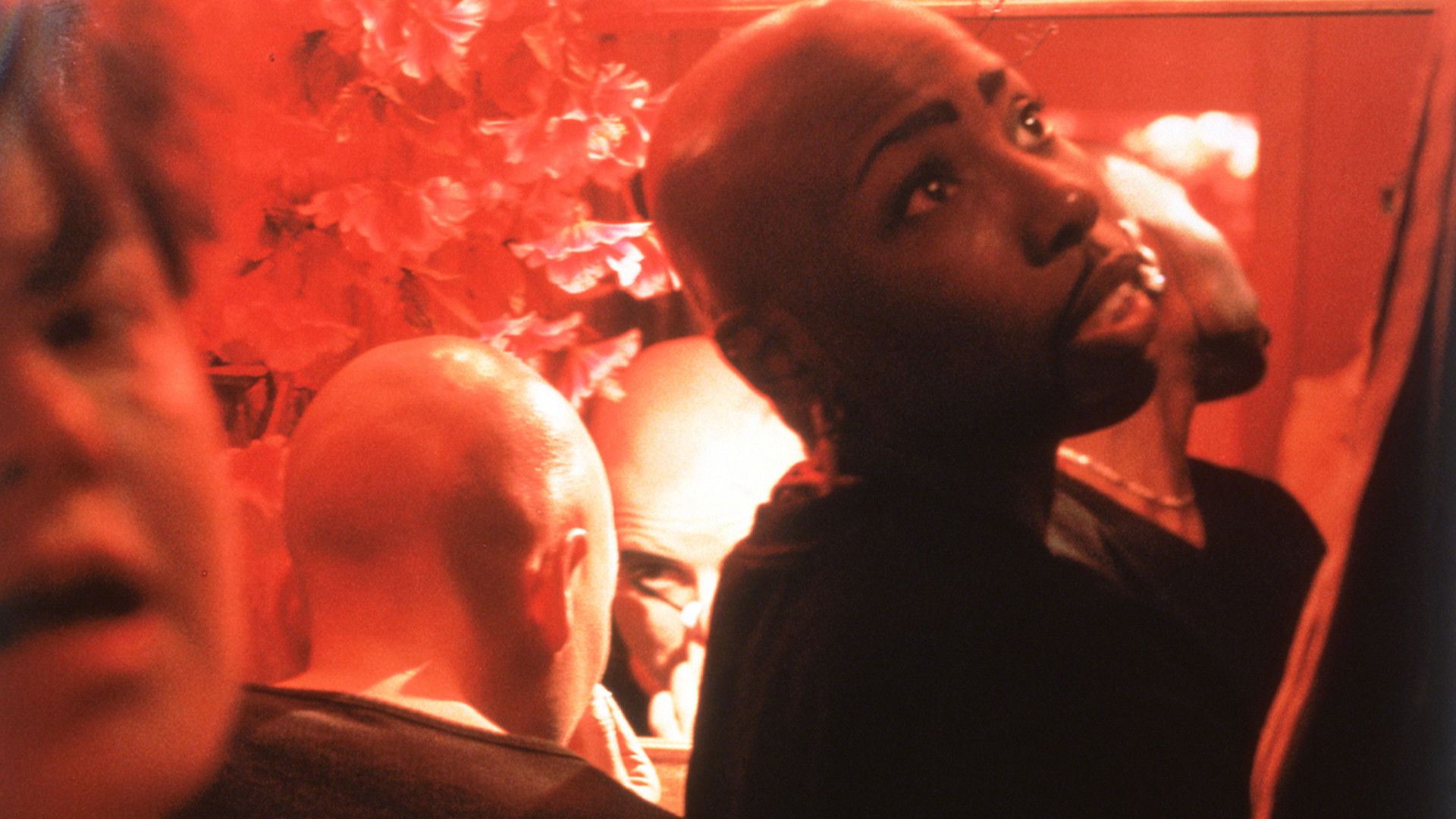 Backdrop for Venus Boyz