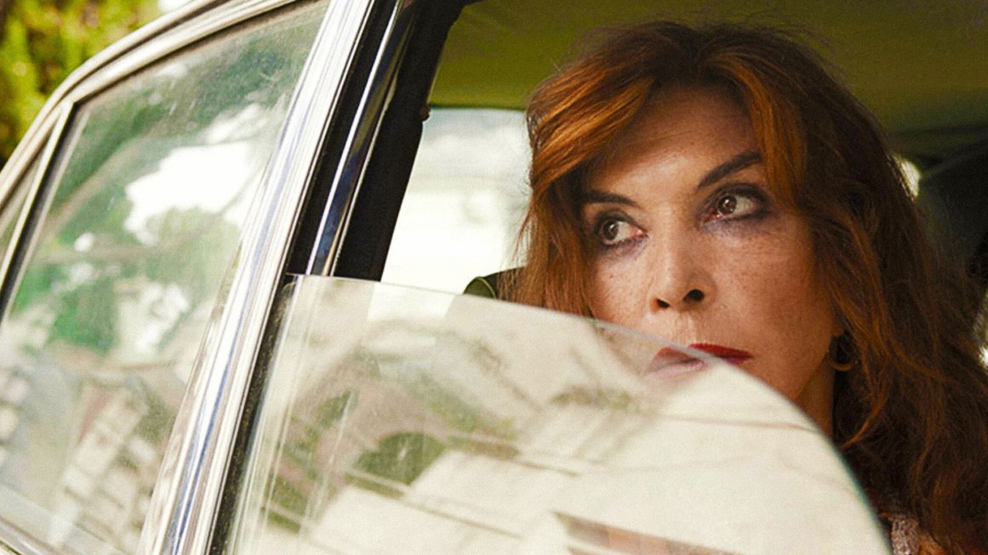 Backdrop for Leone nel basilico