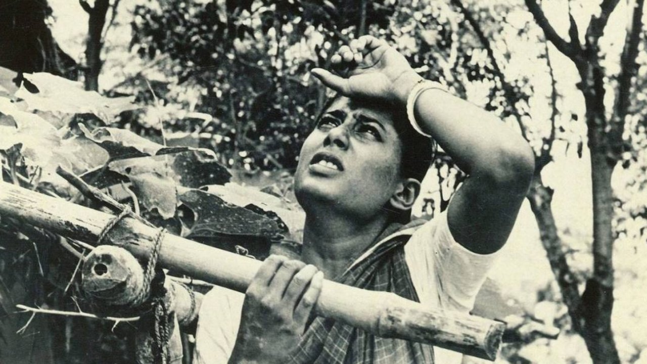 Backdrop for In Search of Famine