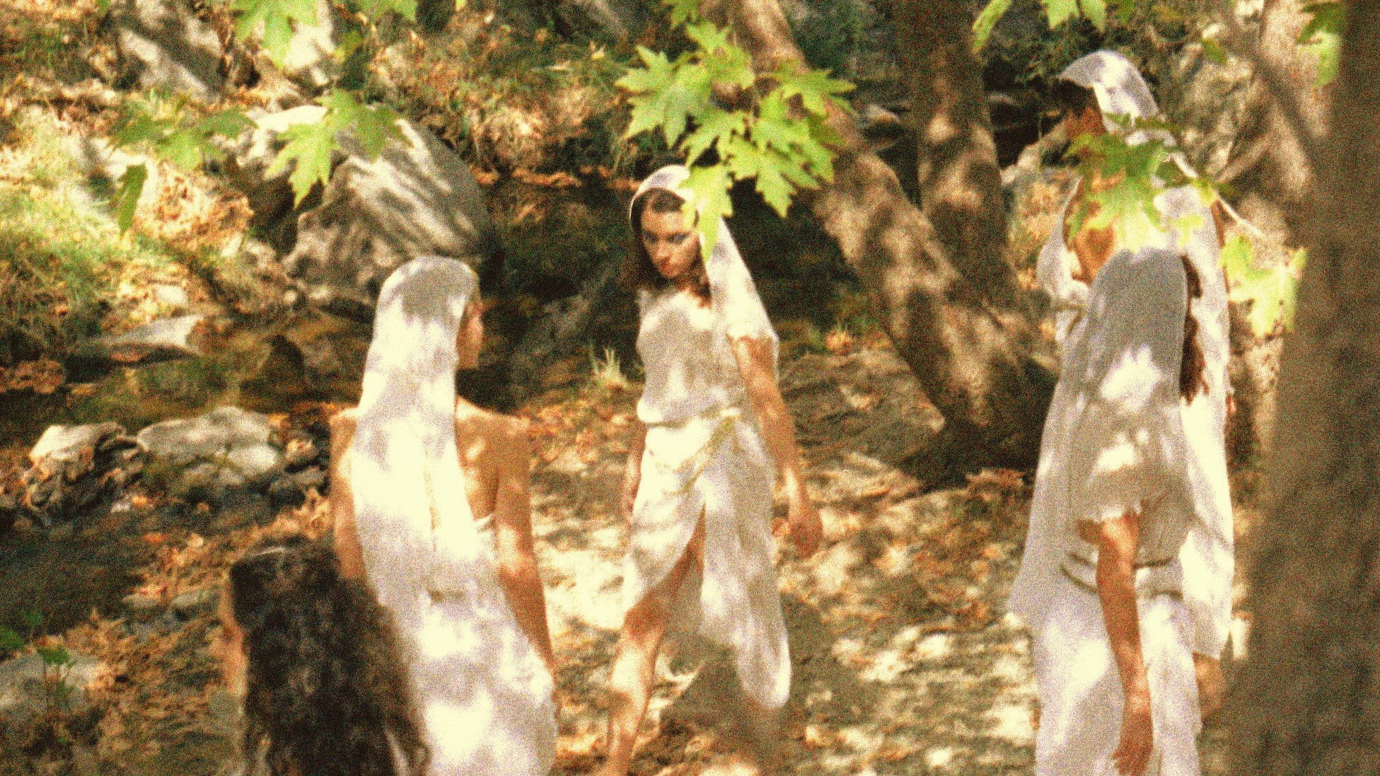 Backdrop for Witches cry on Wednesdays