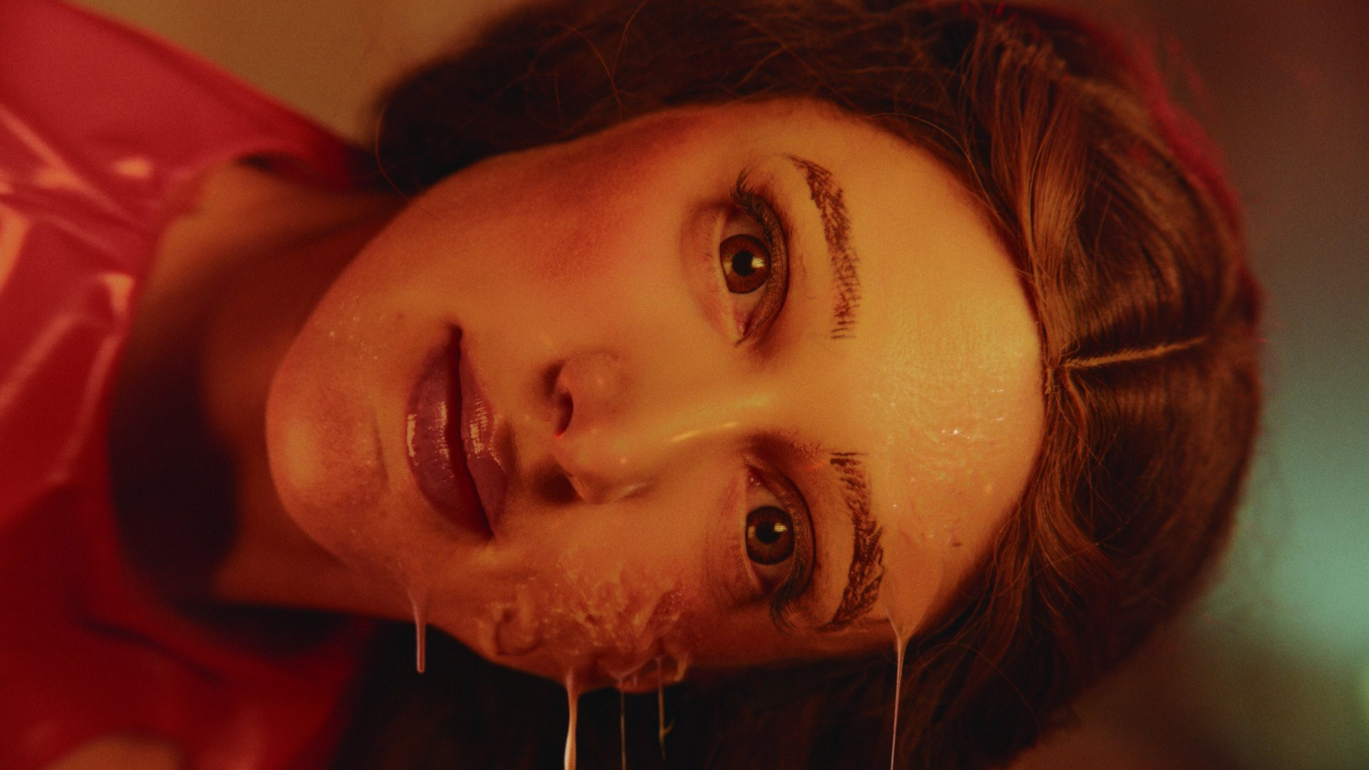 Backdrop for Plastic Touch