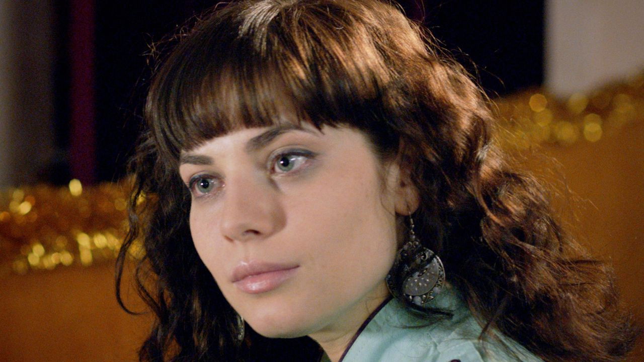 Backdrop for Polar Flight