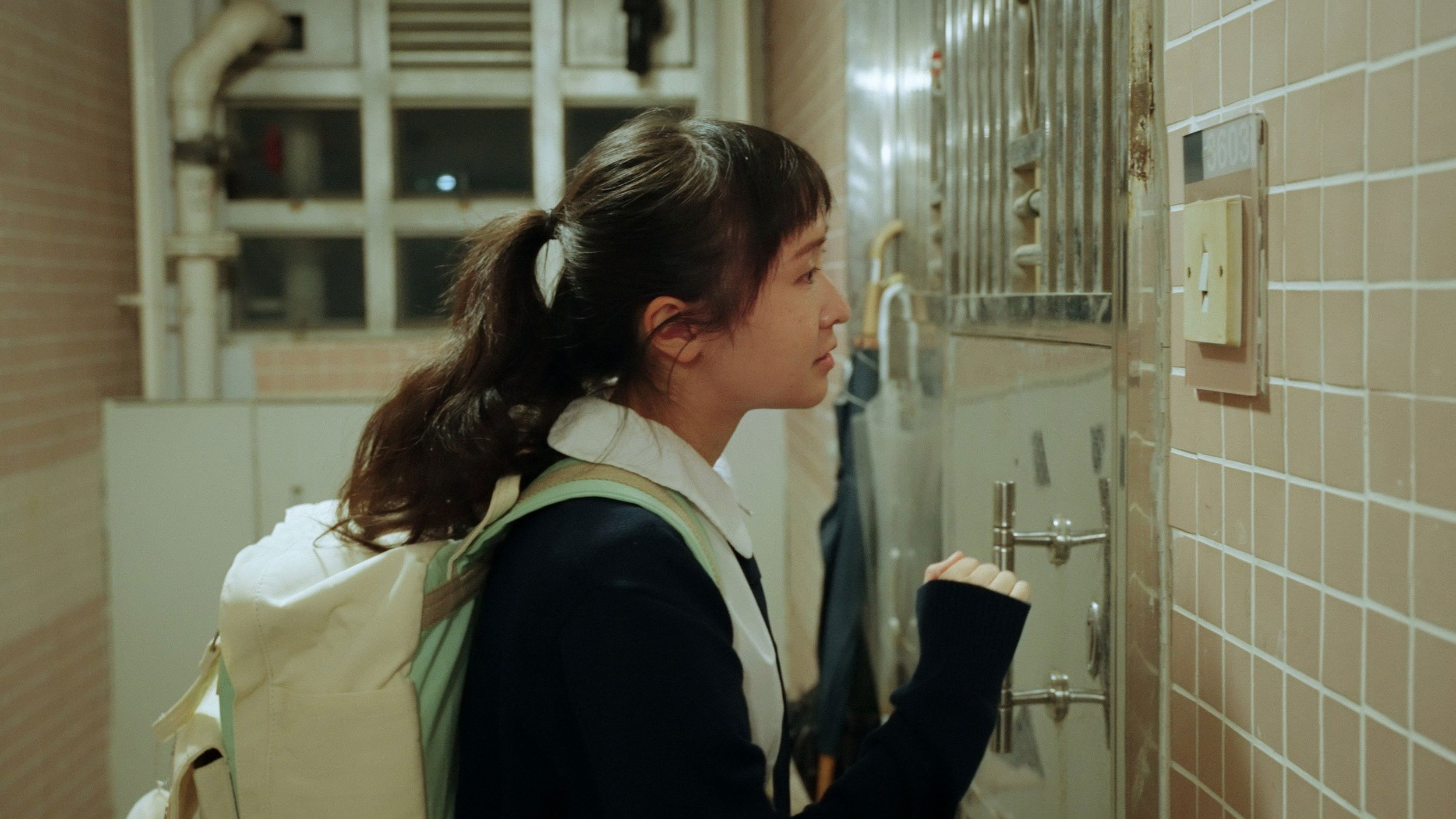 Backdrop for The Handbook of Suicide Prevention